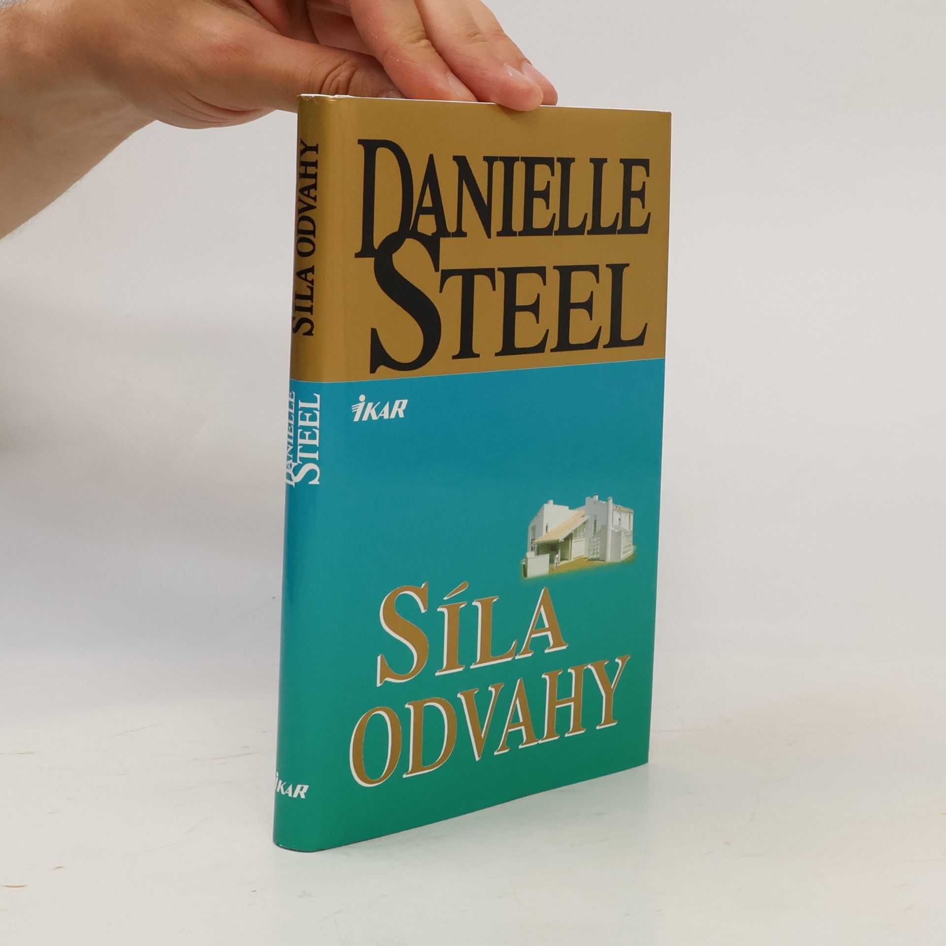 Danielle Steel Síla odvahy