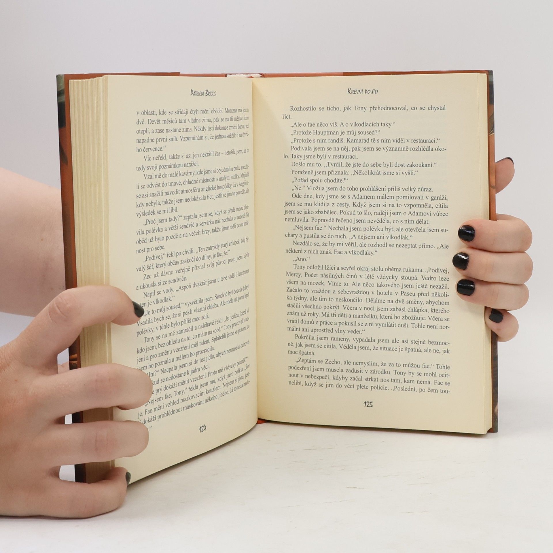 Patricia Briggs Krevní pouto