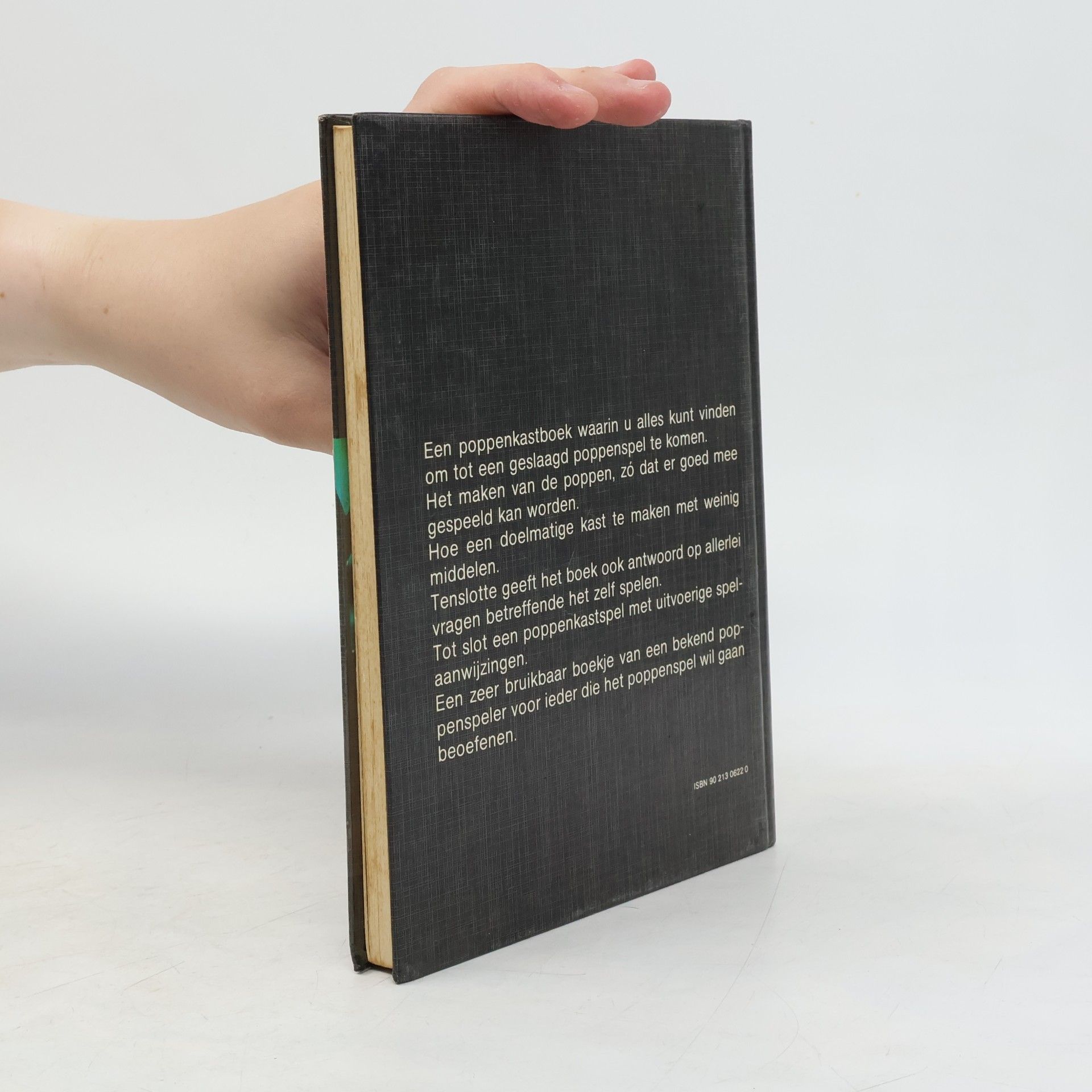 Paul Postma Poppenkastboek