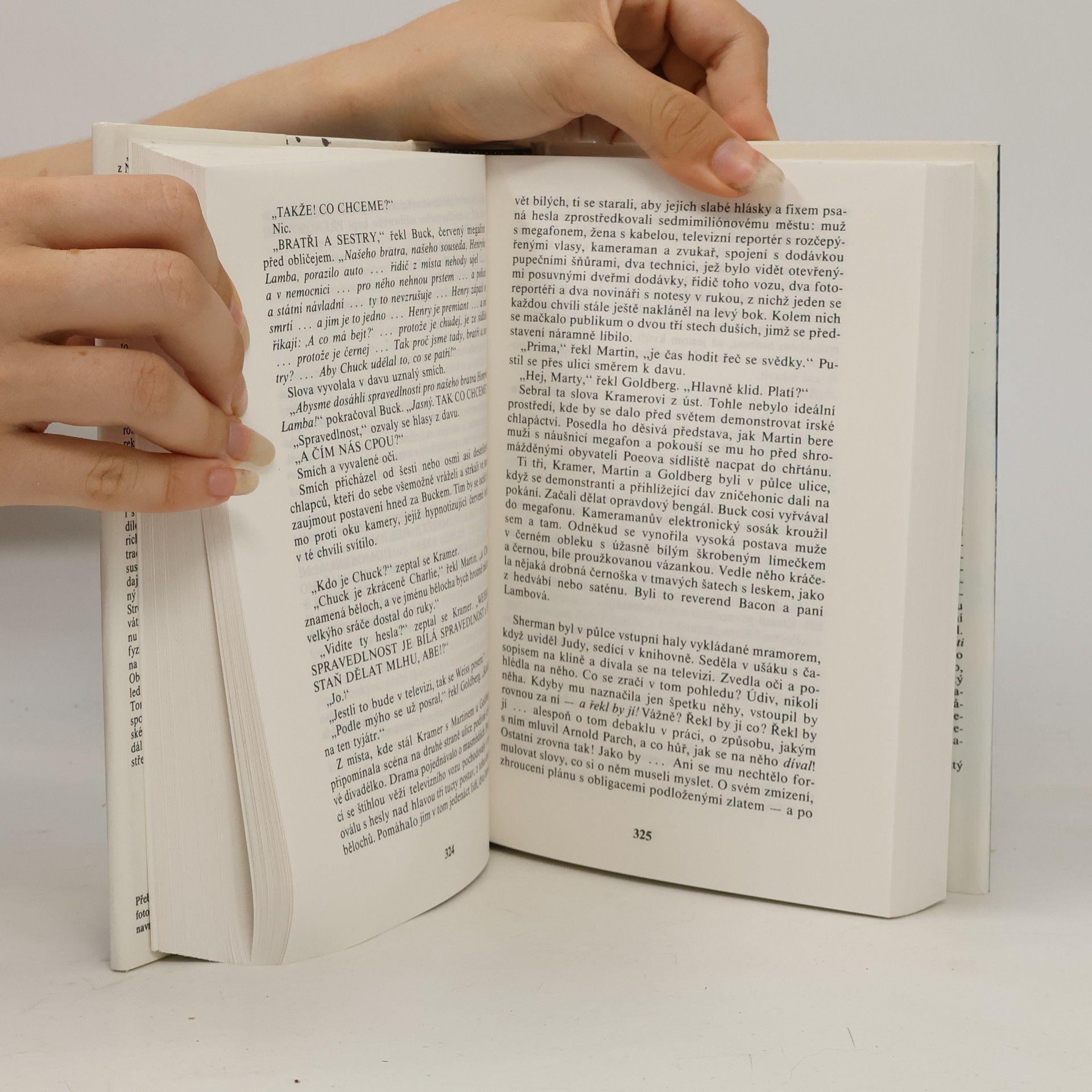 Tom Wolfe Ohňostroj marnosti