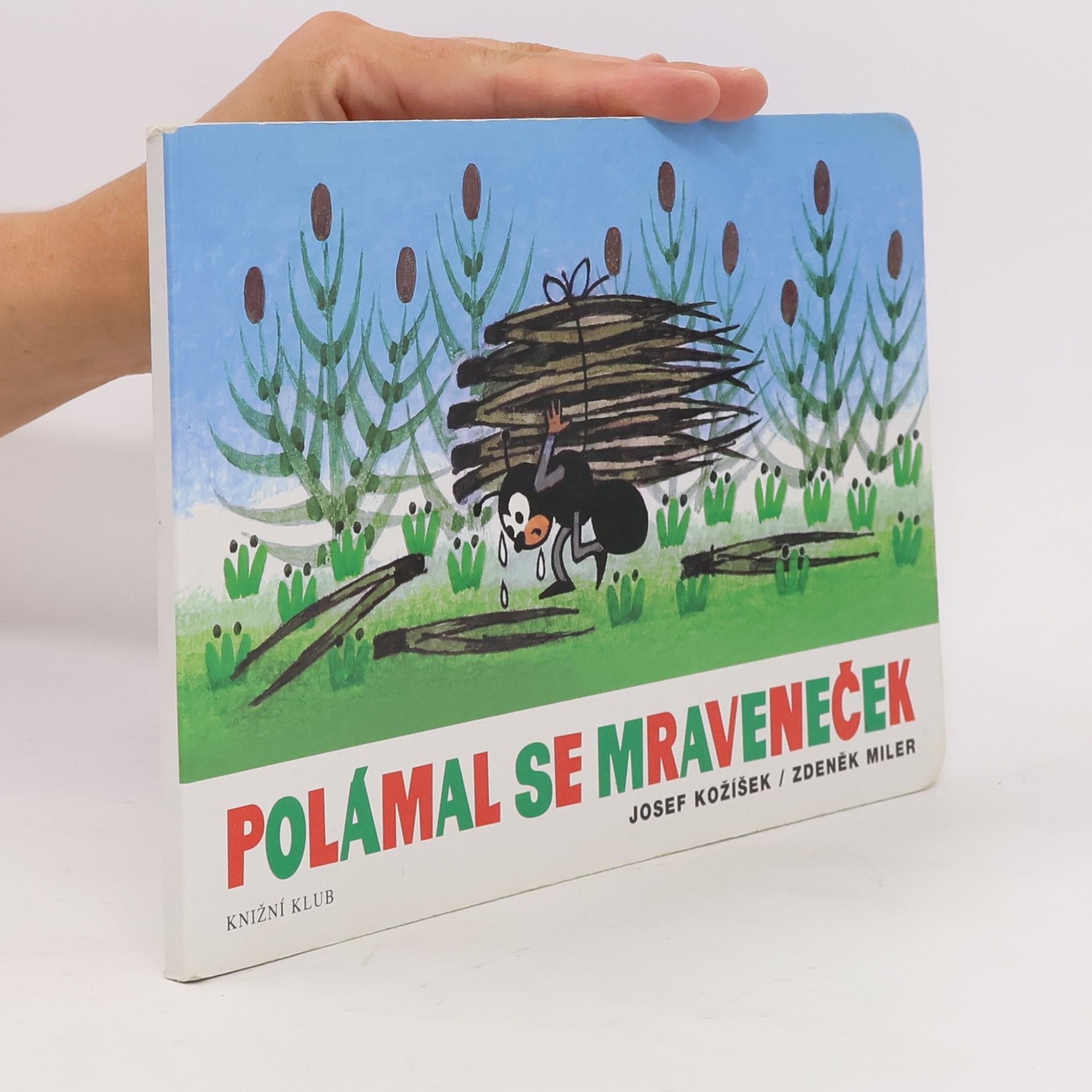 Polámal se mraveneček