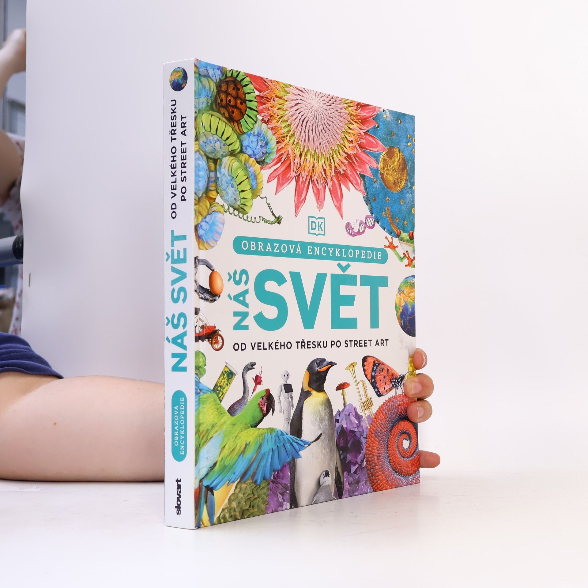 Kolektiv autorů Obrazová encyklopedie Náš svět