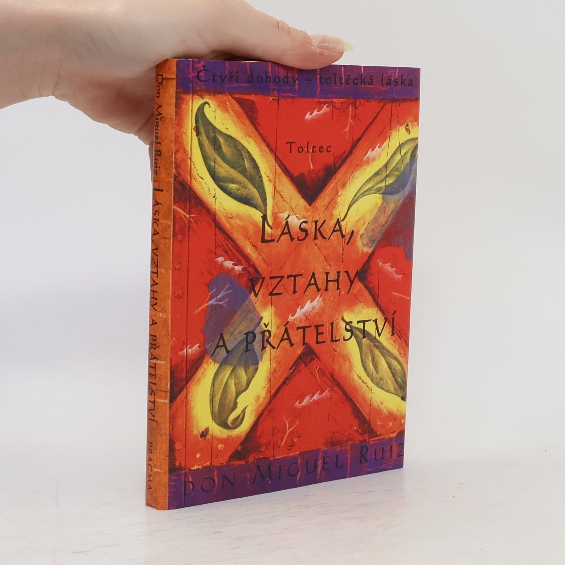 Don Miguel Ruiz Láska, vztahy a přátelství