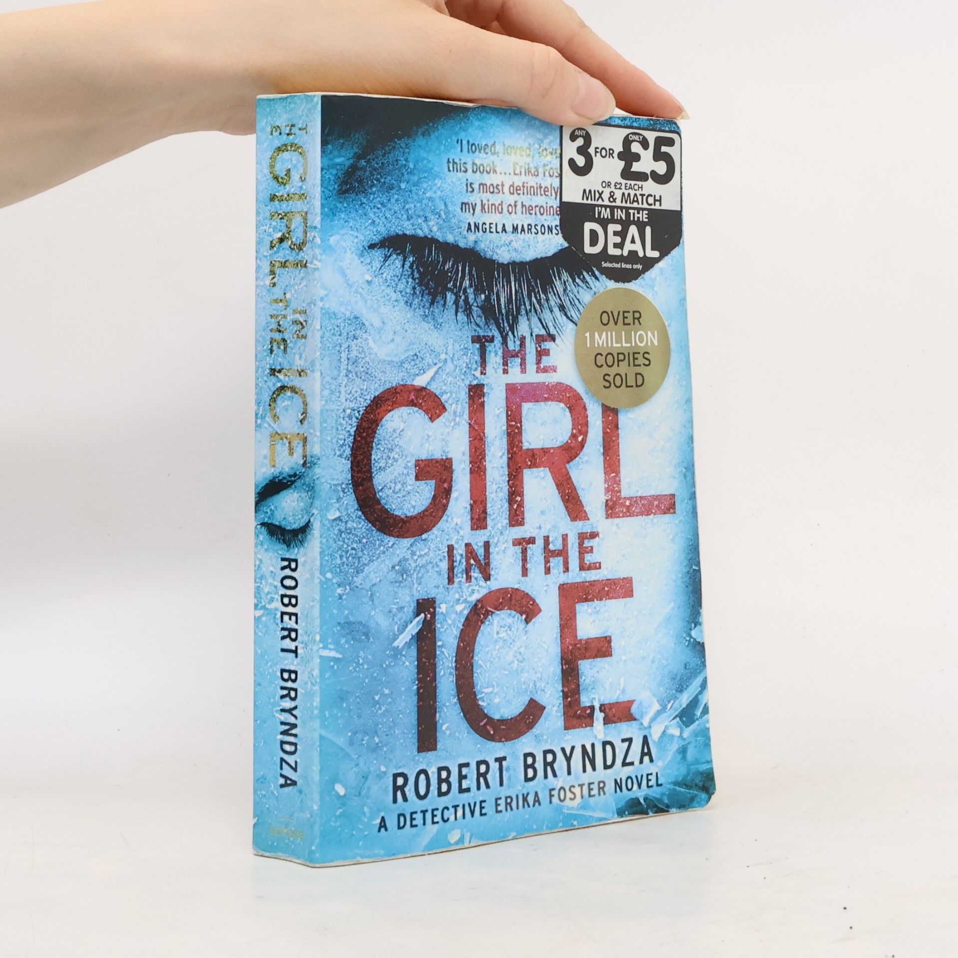 Robert Bryndza The Girl in The Ice