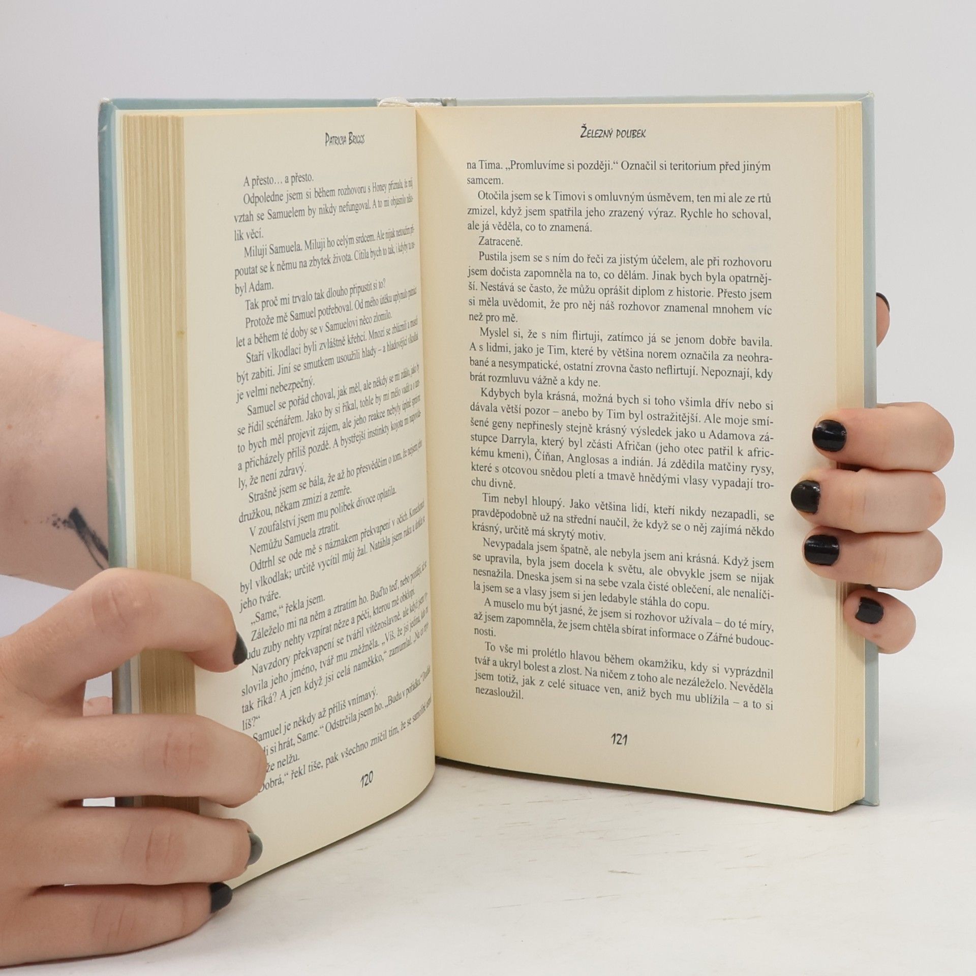 Patricia Briggs Železný polibek