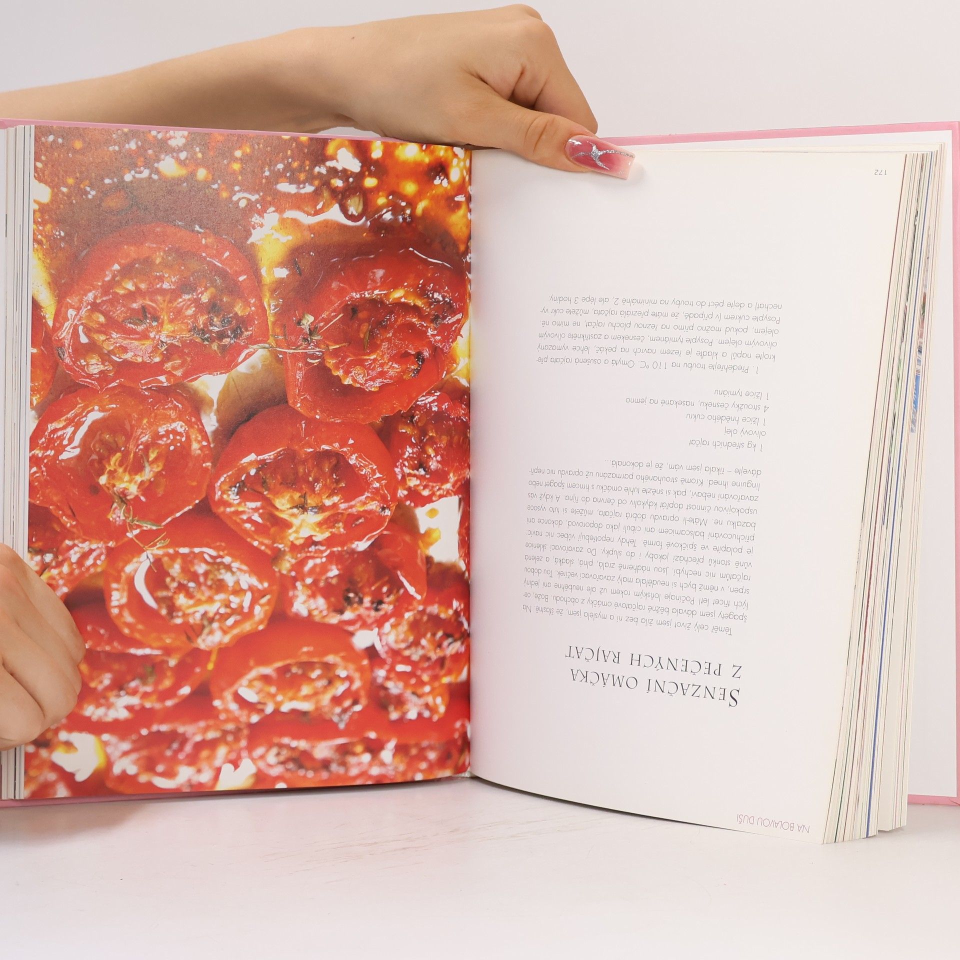 Hana Michopulu Kuchařka Zpátky domů