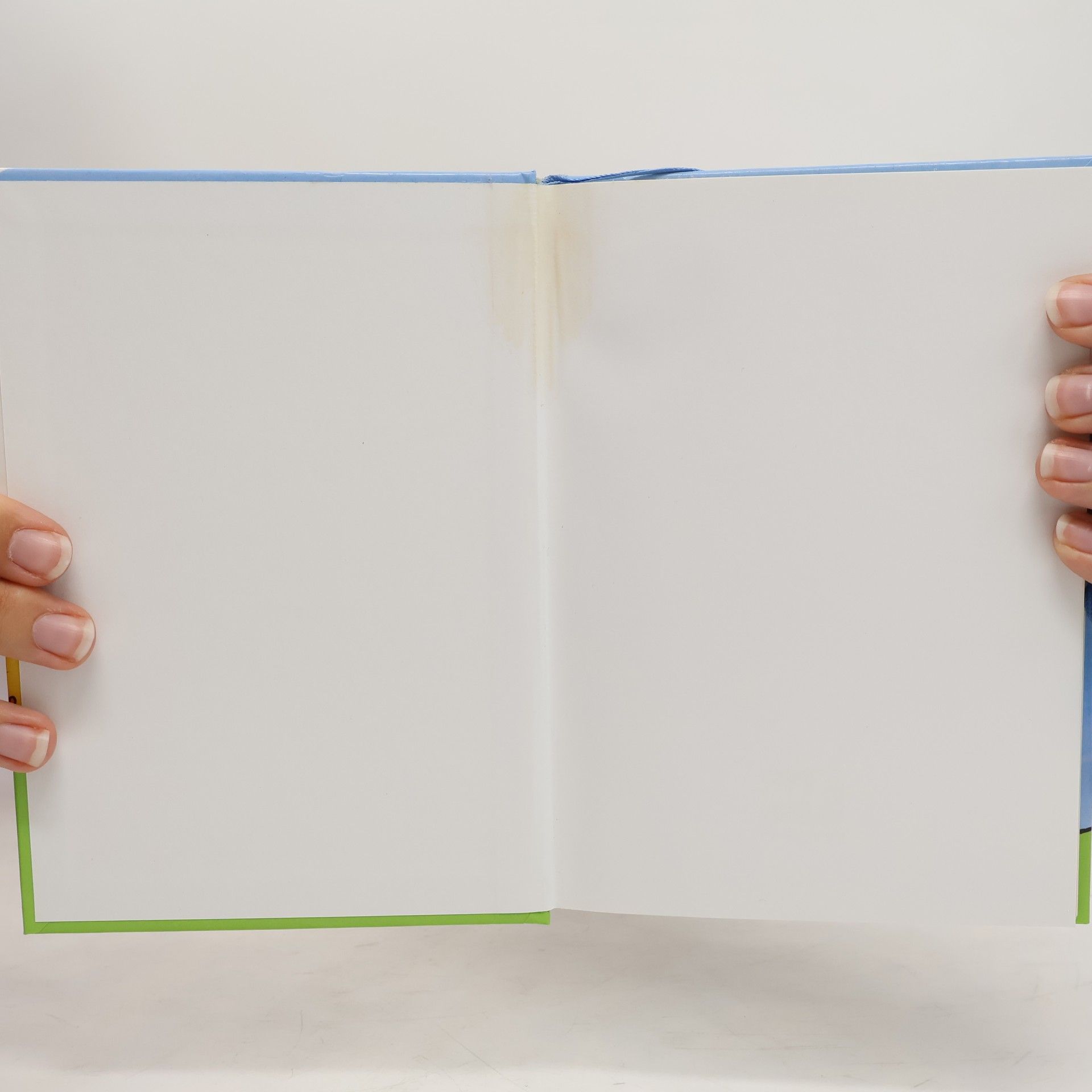 Autorenkollektiv Jak se hubne v Čechách, aneb, 101 otázek z dietatour
