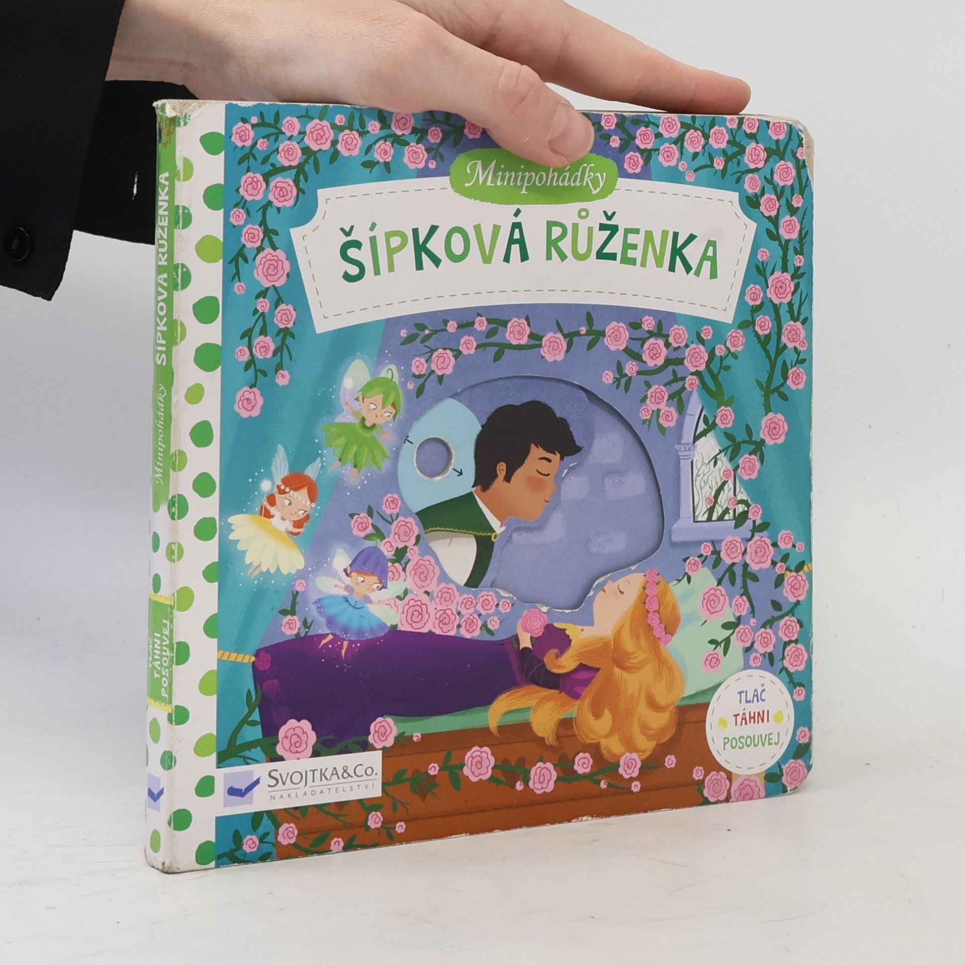 Dan Taylor Minipohádky: Šípková Ruženka