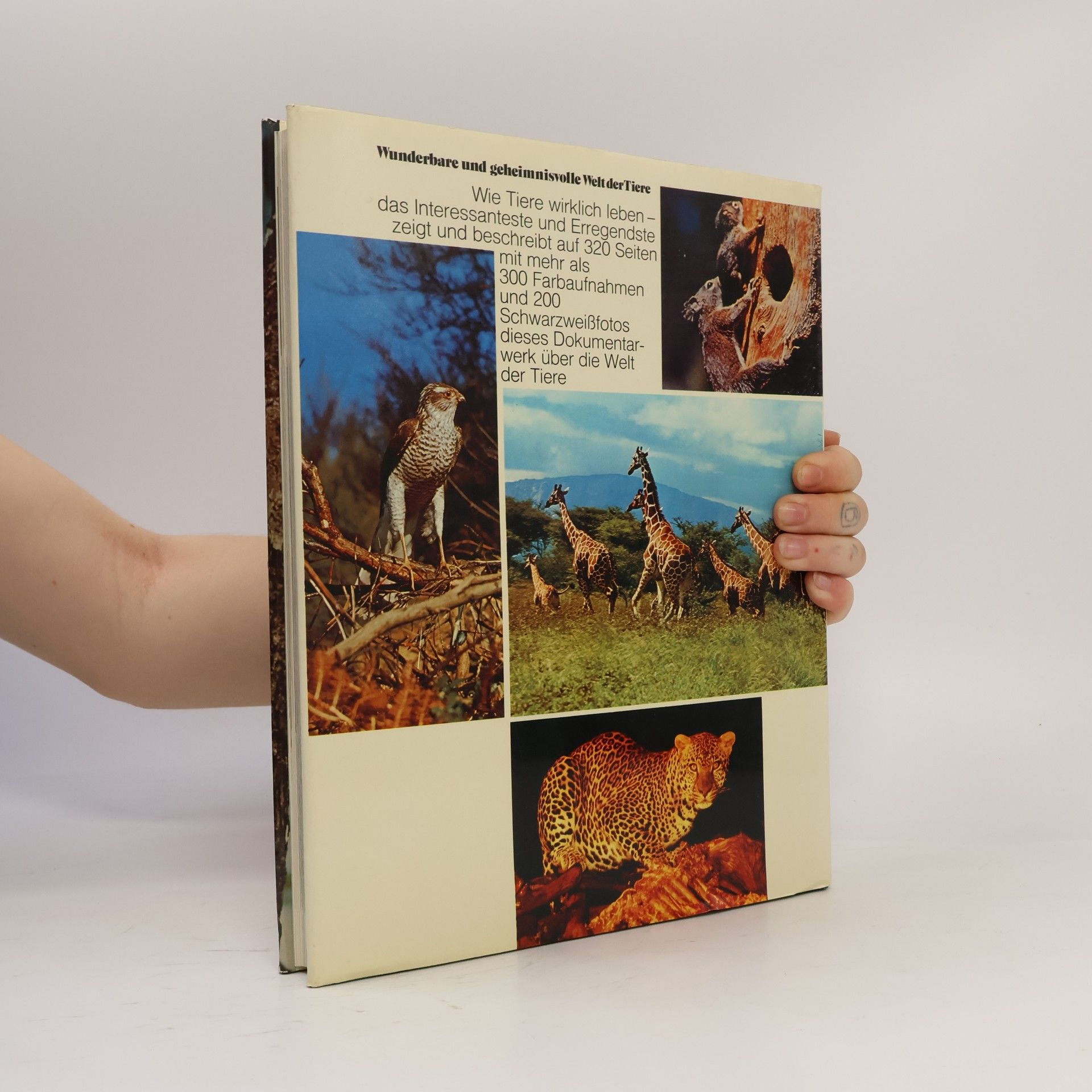 Autorenkollektiv Wunderbare und geheimnisvolle Welt der Tiere