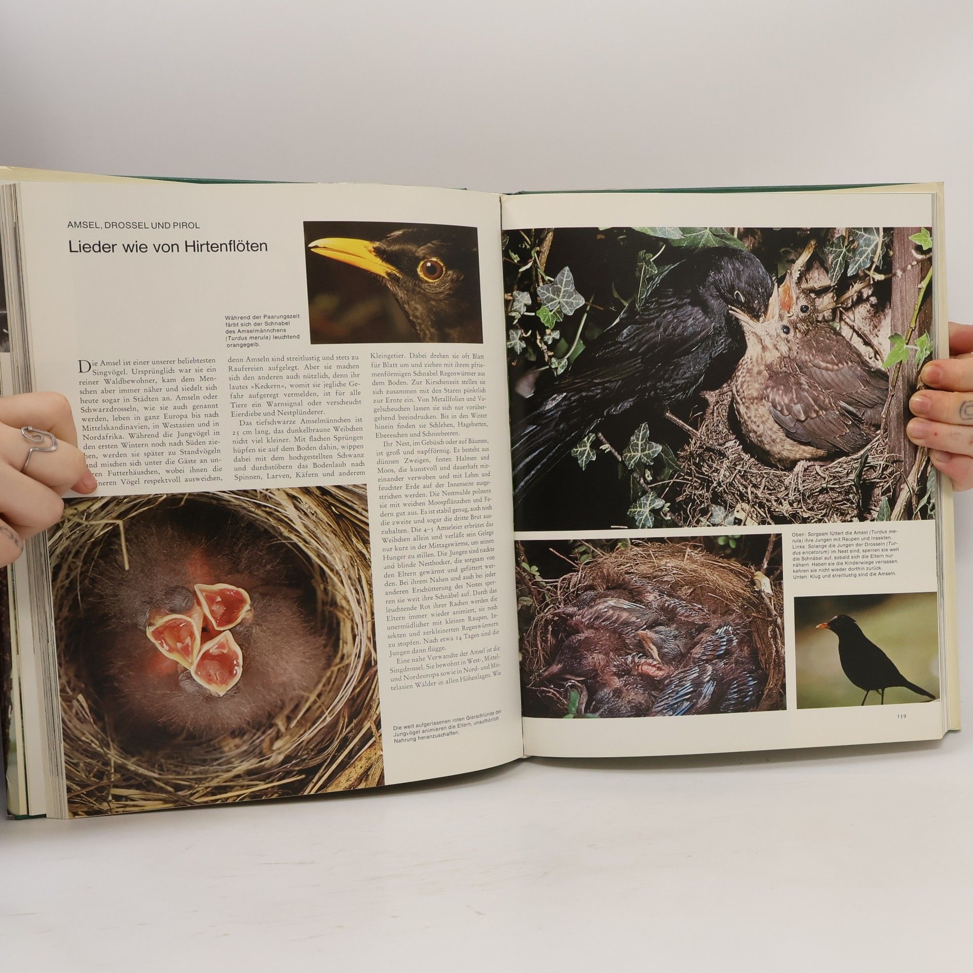 Autorenkollektiv Wunderbare und geheimnisvolle Welt der Tiere