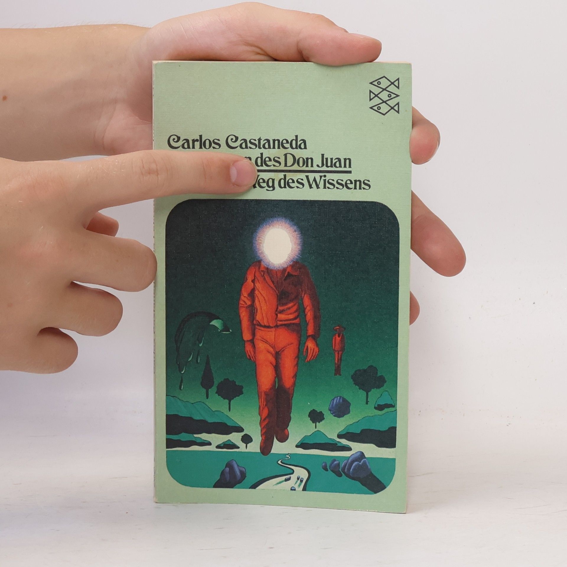 Carlos Castaneda Die Lehren des Don Juan