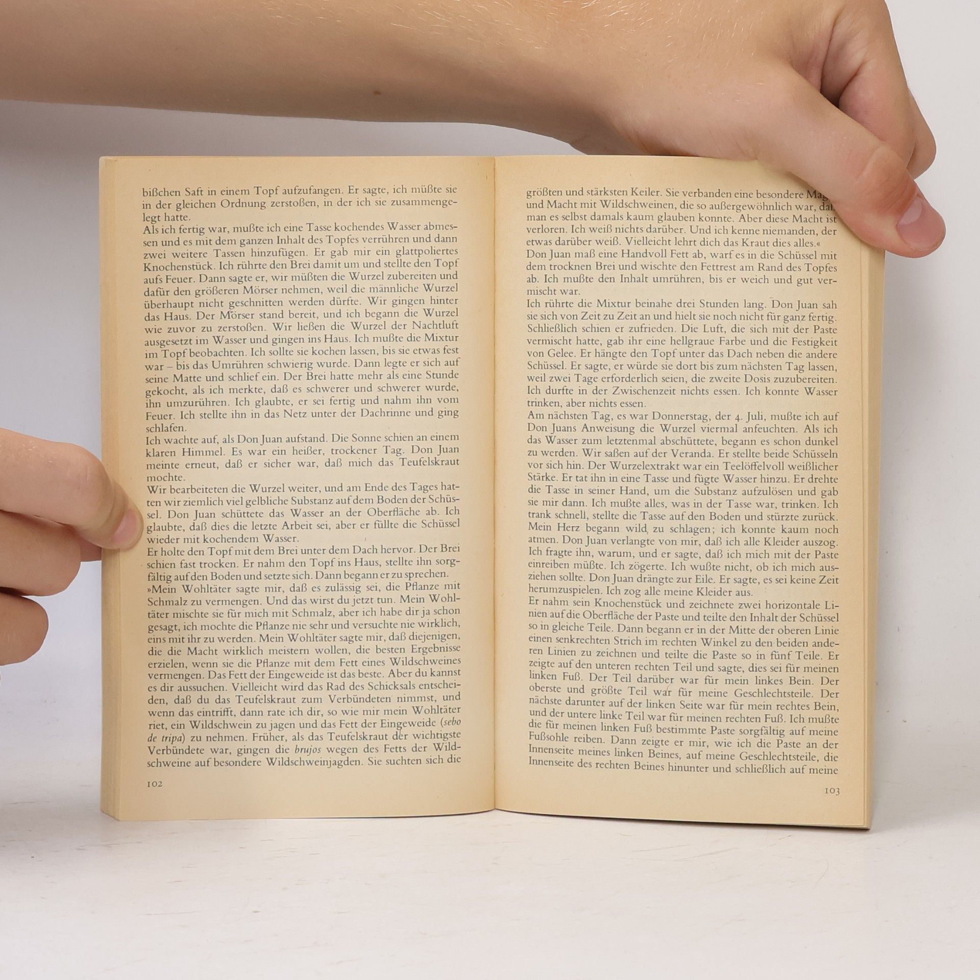 Carlos Castaneda Die Lehren des Don Juan
