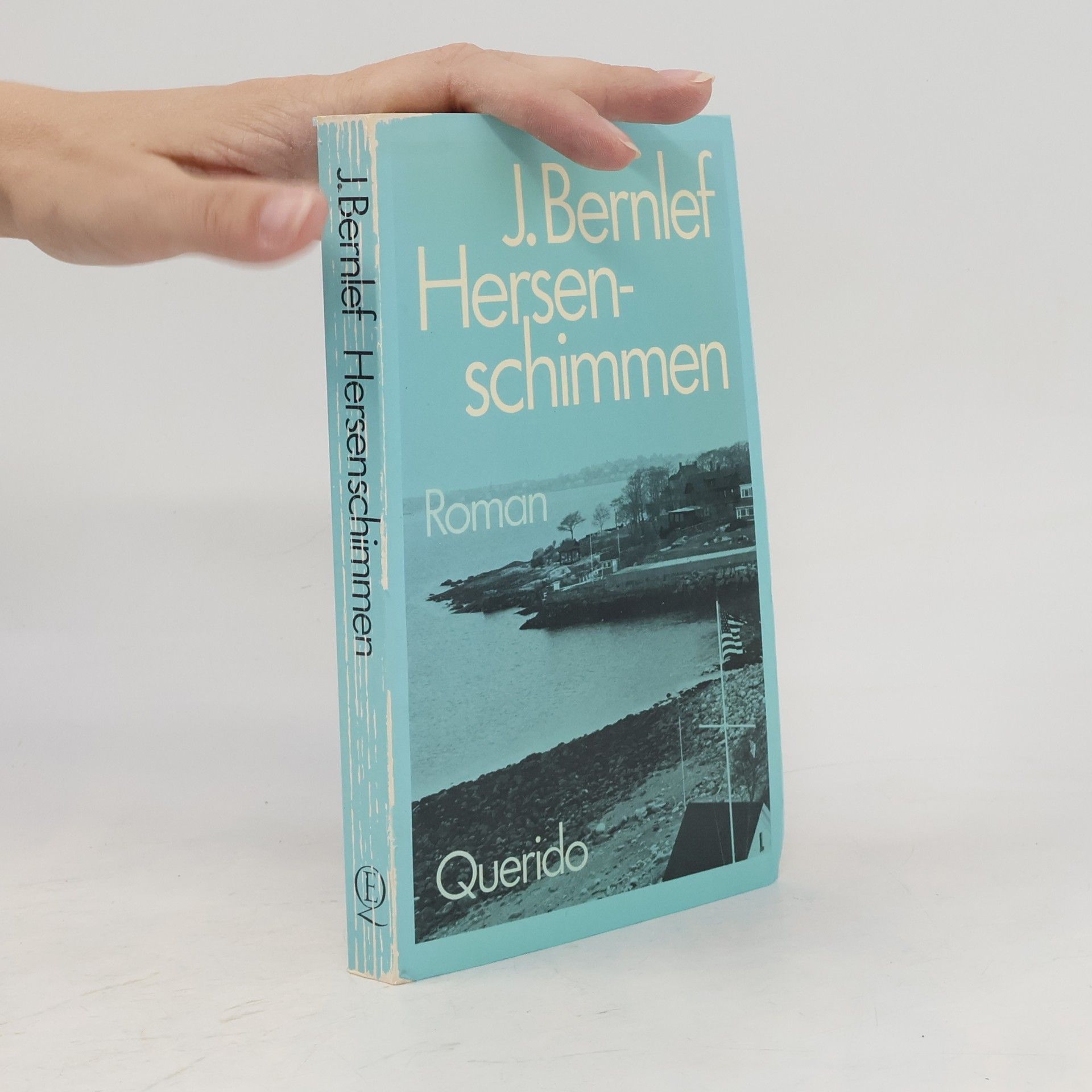 J. Bernlef Hersenschimmen