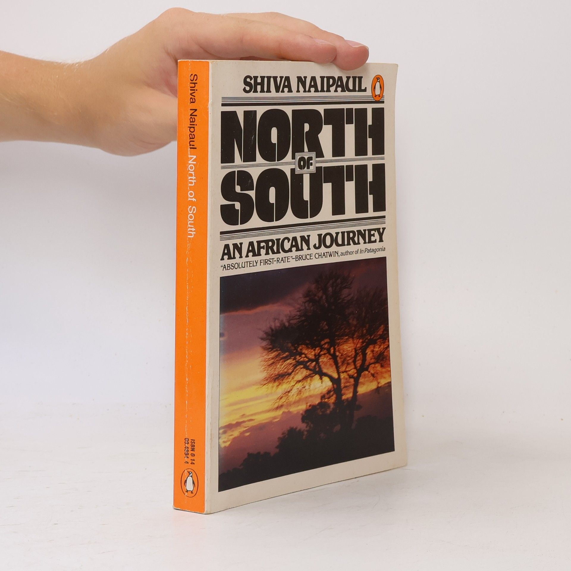 Shiva Naipaul North of South