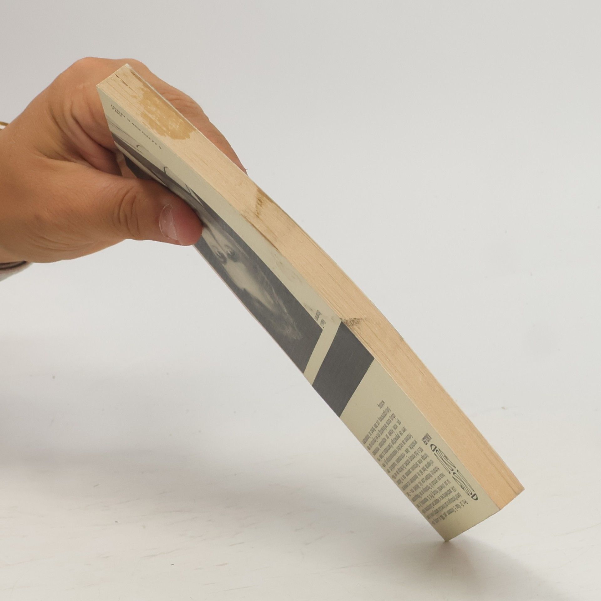 Klaus E. Grossmann Kindler Taschenbücher - 2177: Entwicklung der Lernfähigkeit in der sozialen Umwelt