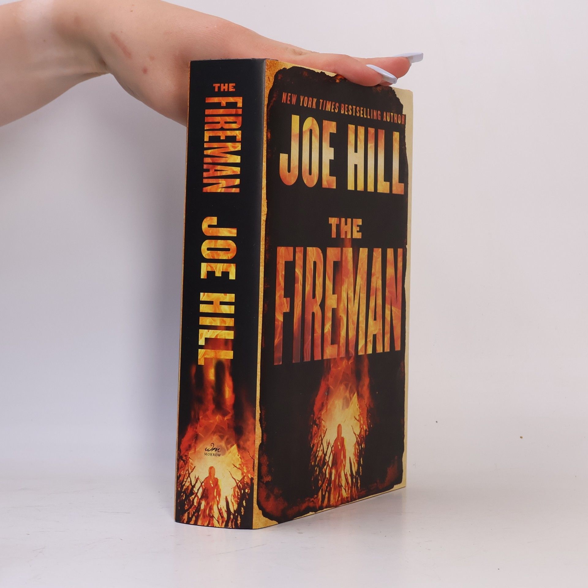 Joe Hill The Fireman