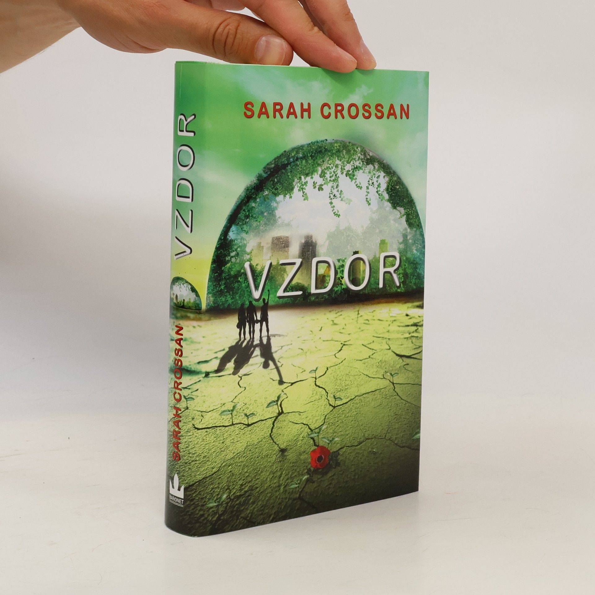 Sarah Crossan Vzdor