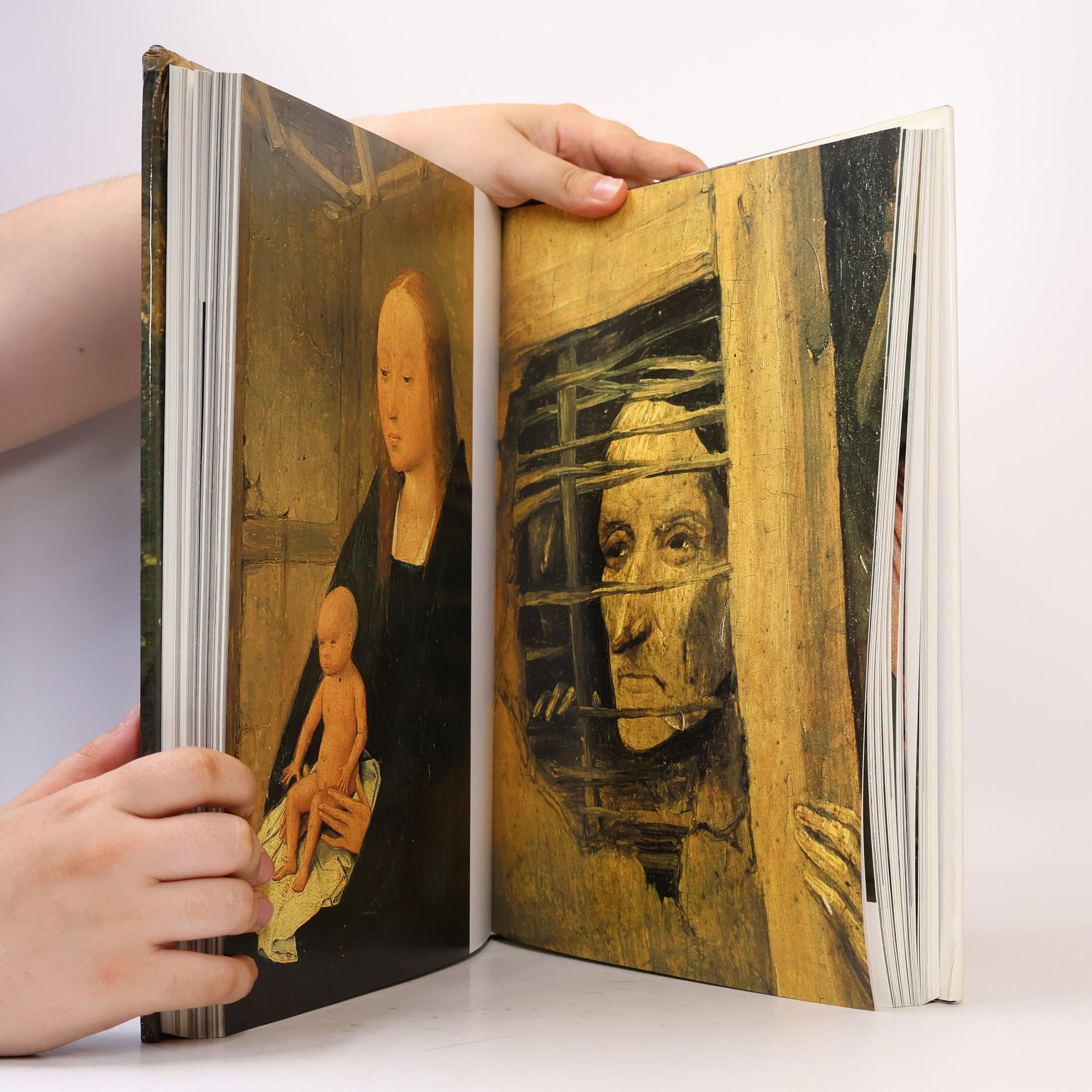 Roger Marijnissen Hieronymus Bosch