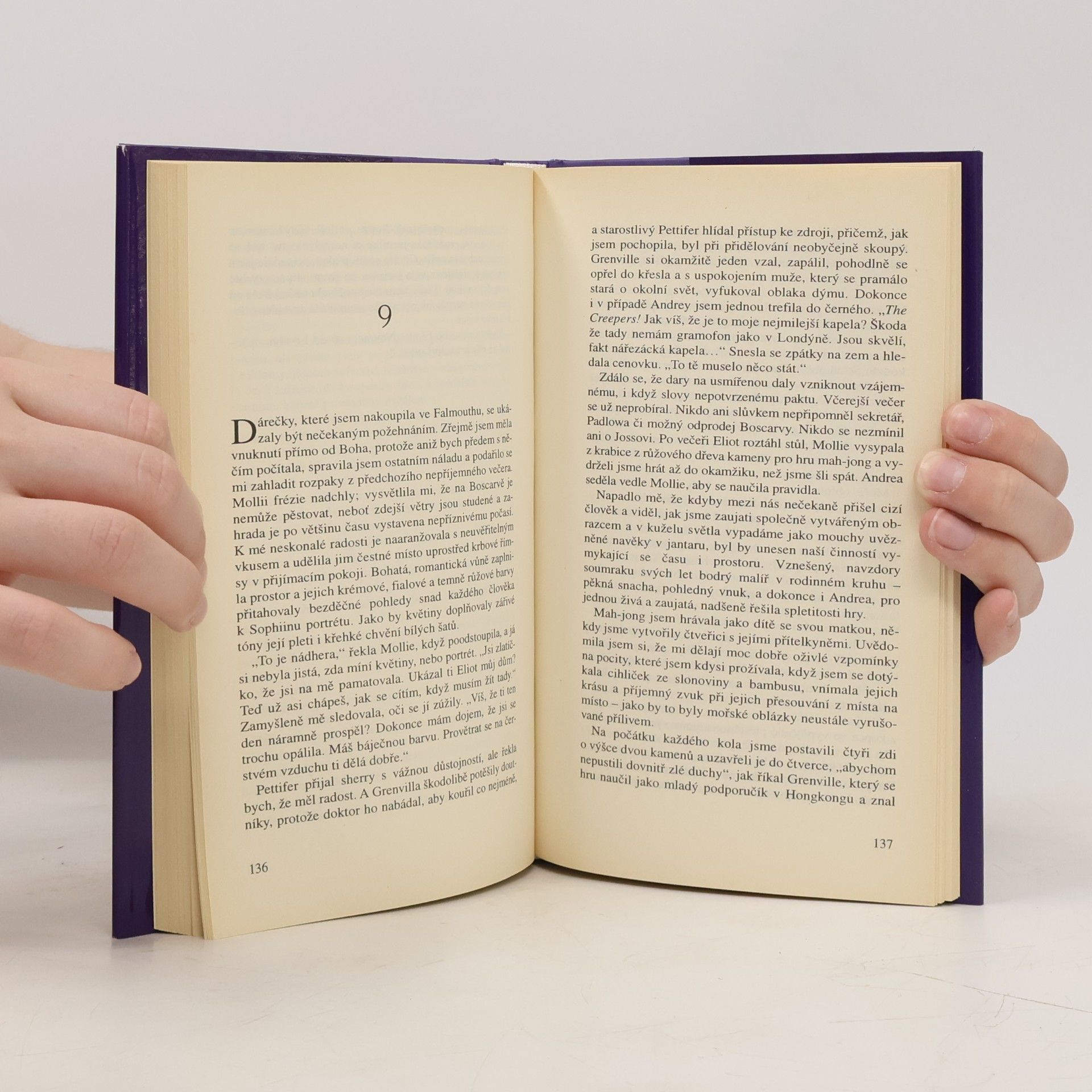 Rosamunde Pilcher Bouřlivé pobřeží