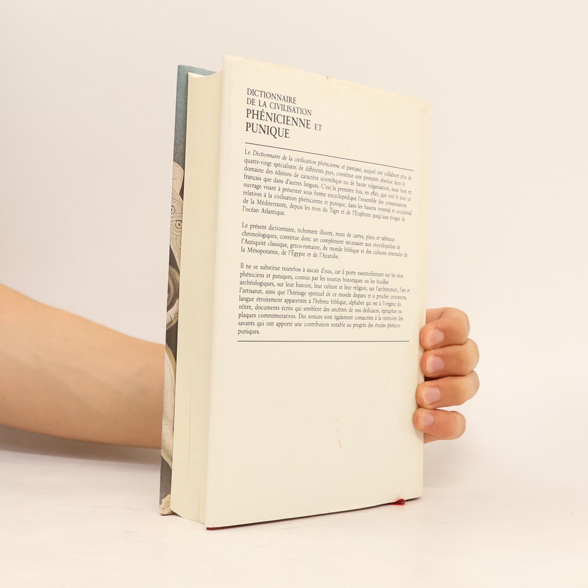 Dictionnaire de la civilisation phénicienne et punique