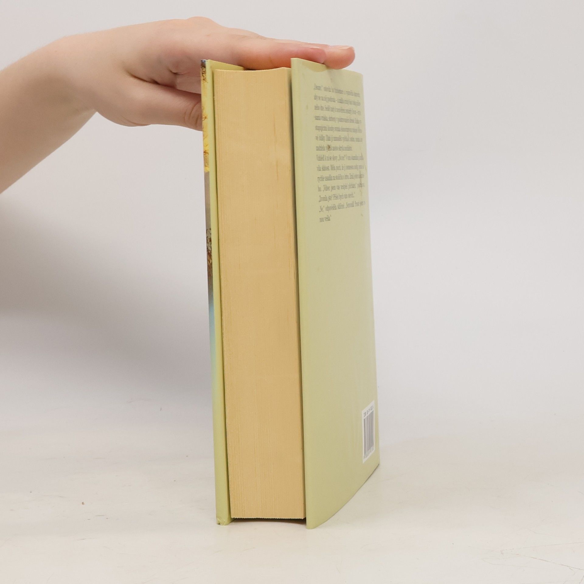 Rosamunde Pilcher Zimní slunovrat