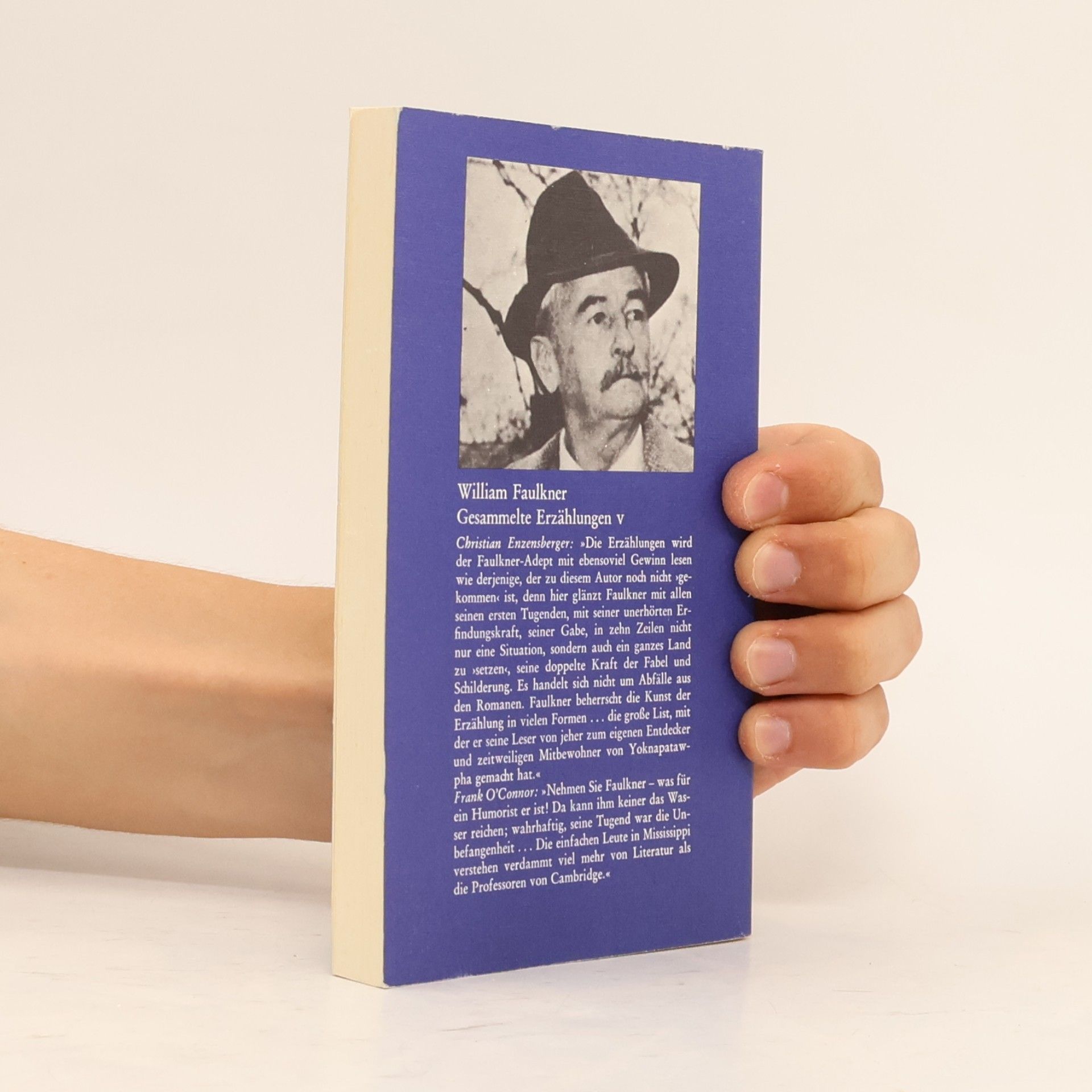 William Faulkner Gesammelte Erzählungen V