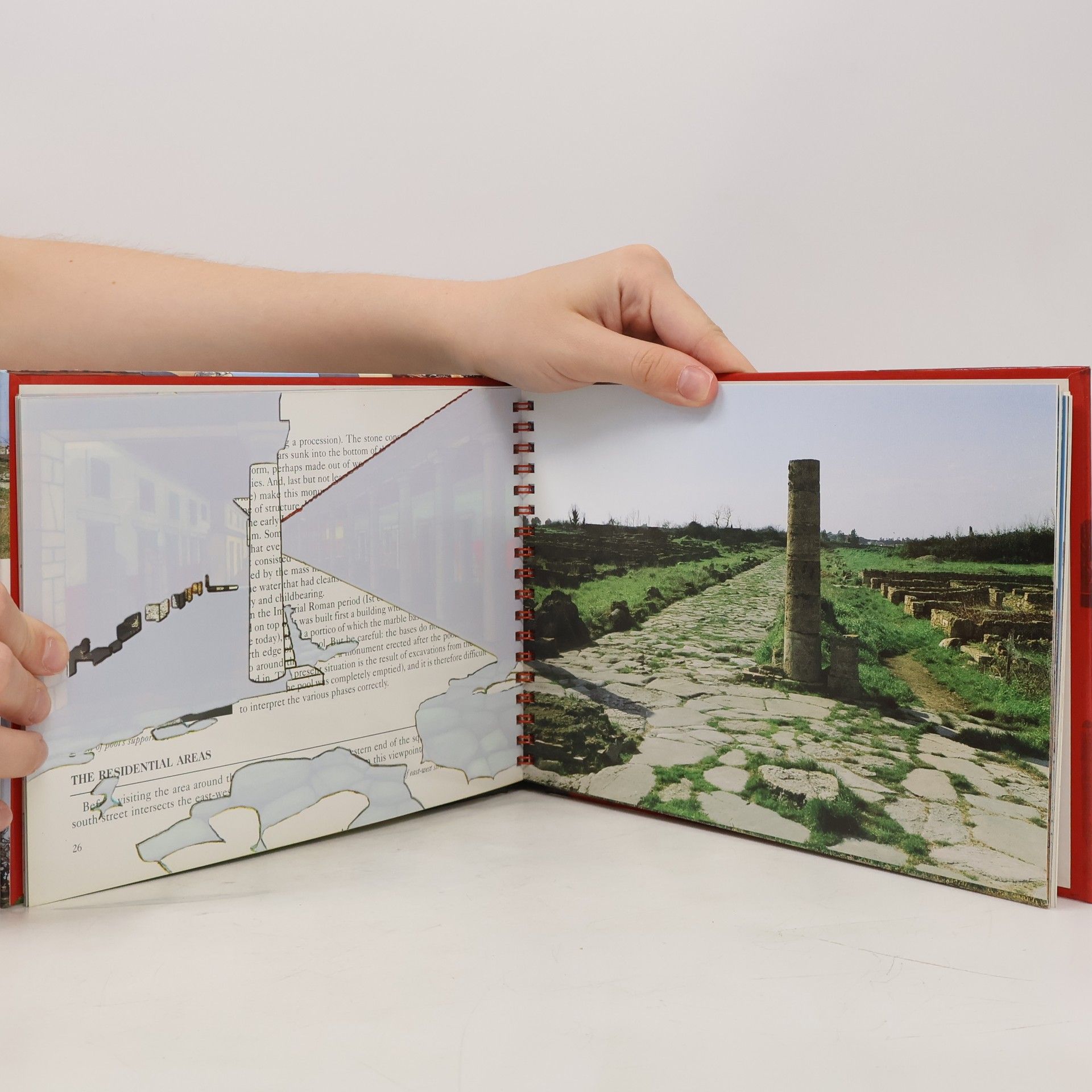 Emanuele Greco Paestum. Past and Present