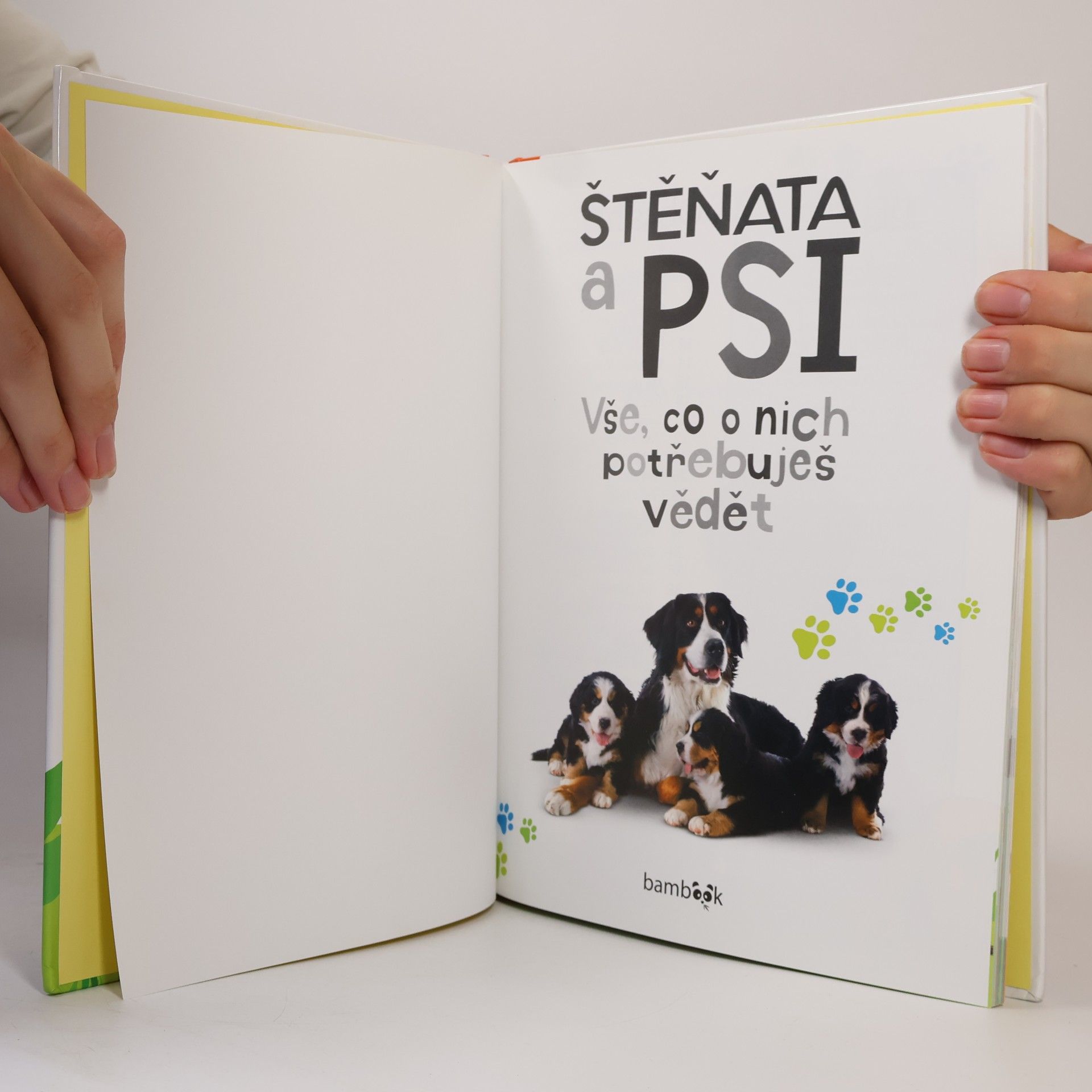 Andrea Mills Štěňata a psi – Vše, co o nich potřebuješ vědět