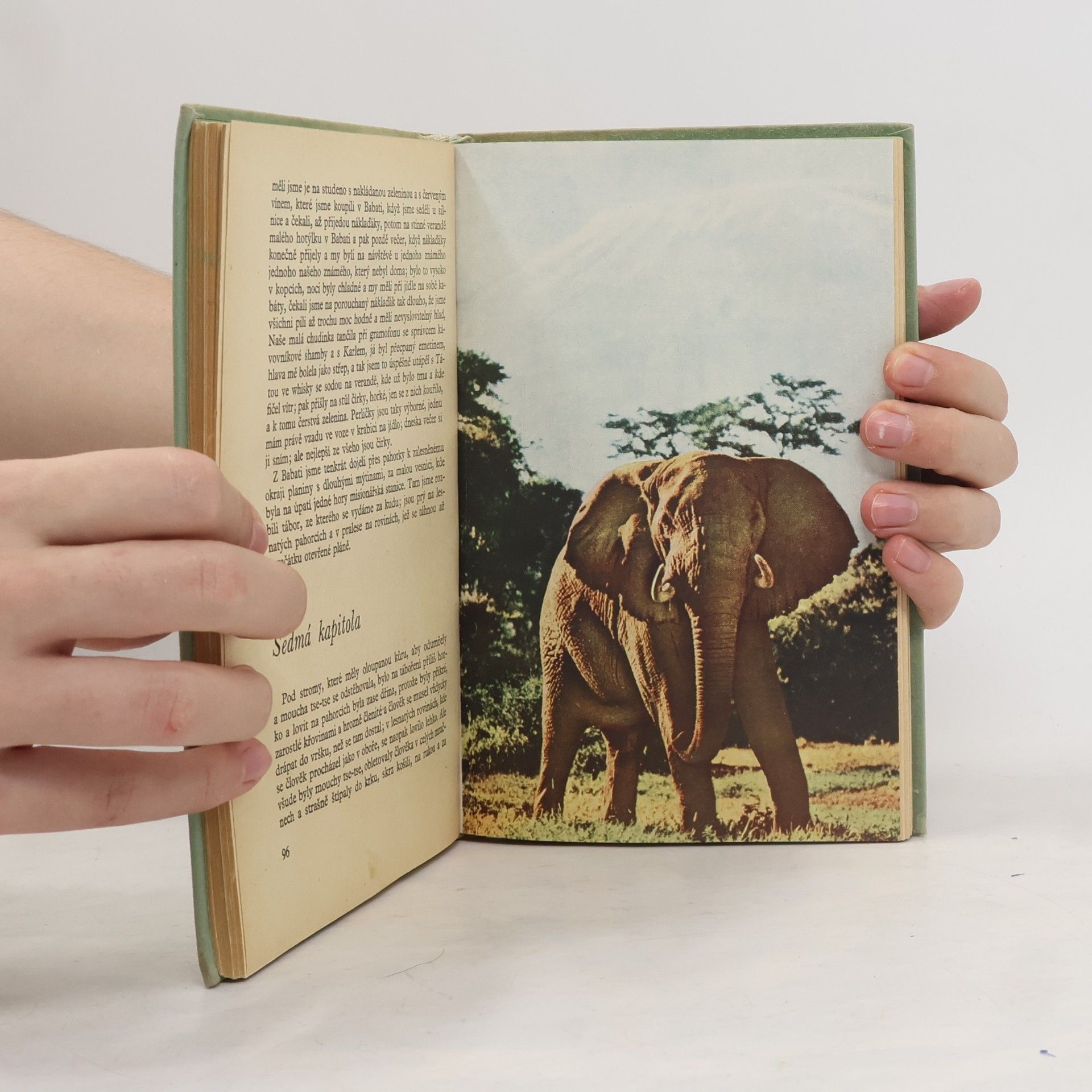Ernest Hemingway Zelené pahorky africké