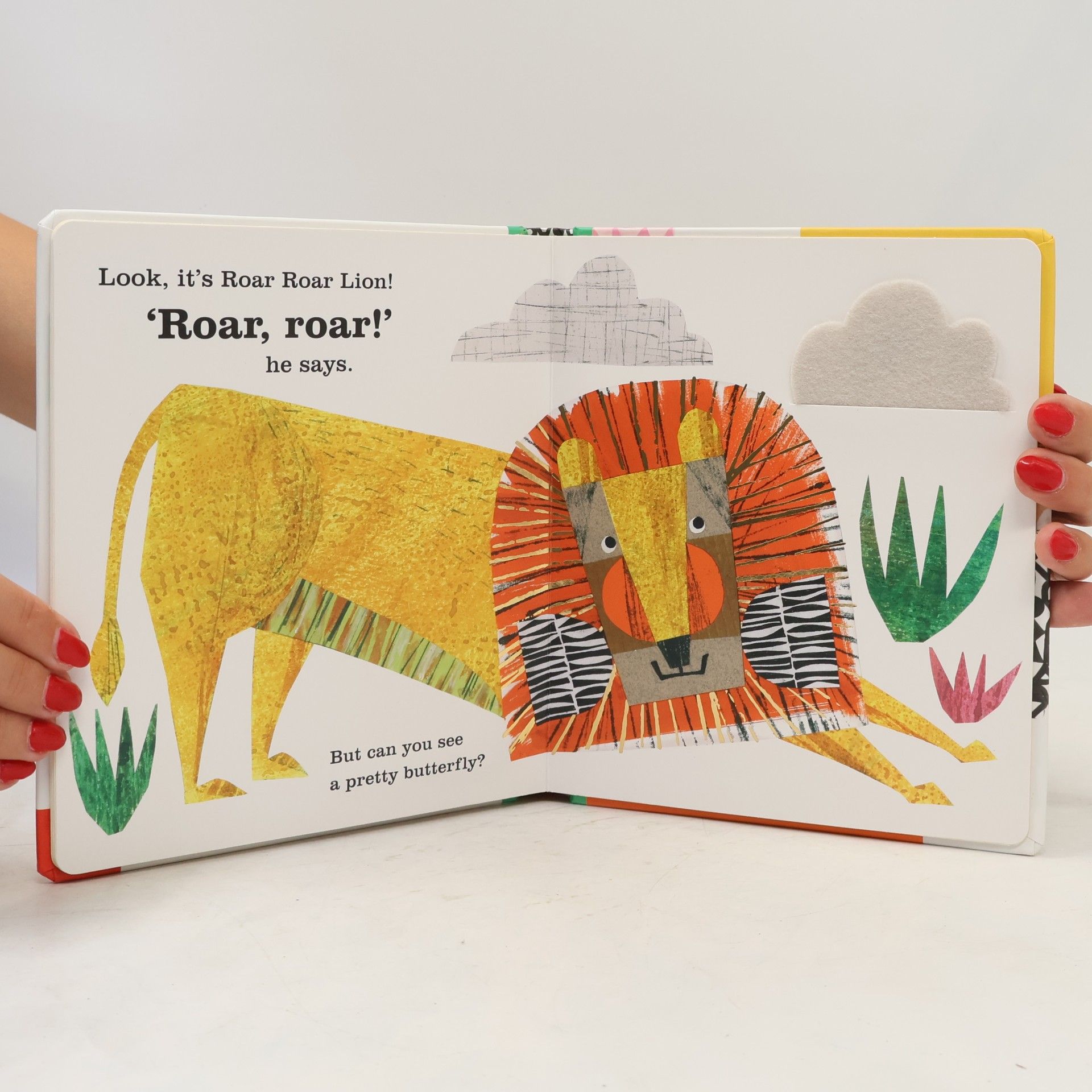 Clare Youngs Look, It's Roar Roar Lion