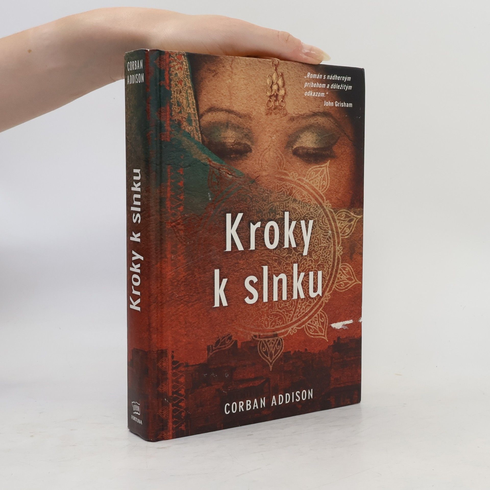 Corban Addison Kroky k slnku