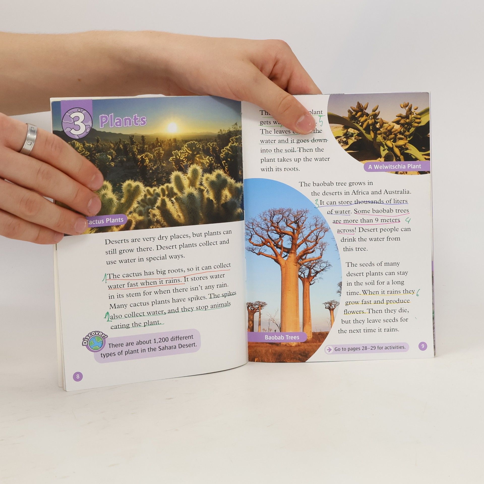 Julie Penn Oxford Read and Discover: Level 4: All About Desert Life