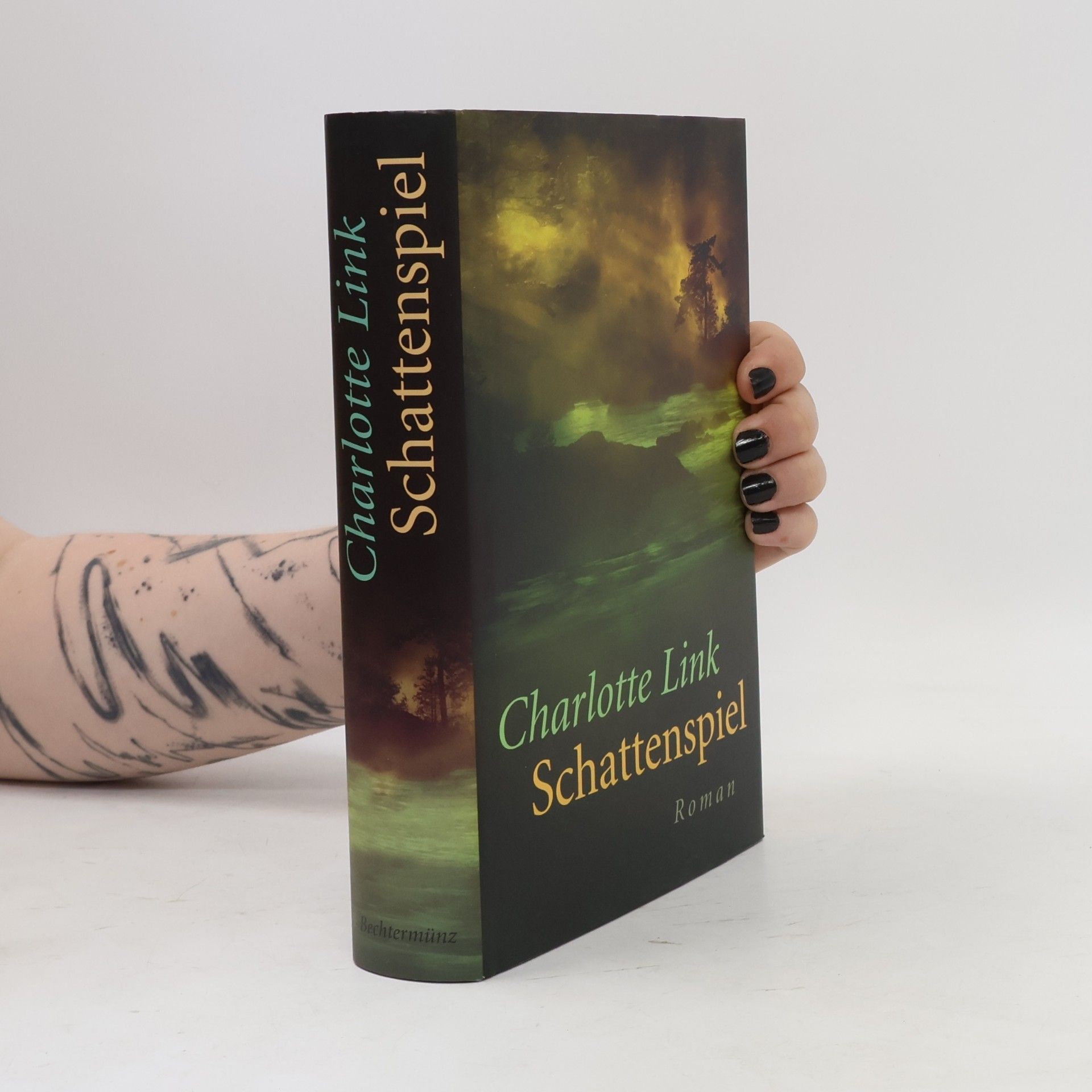 Charlotte Link Schattenspiel