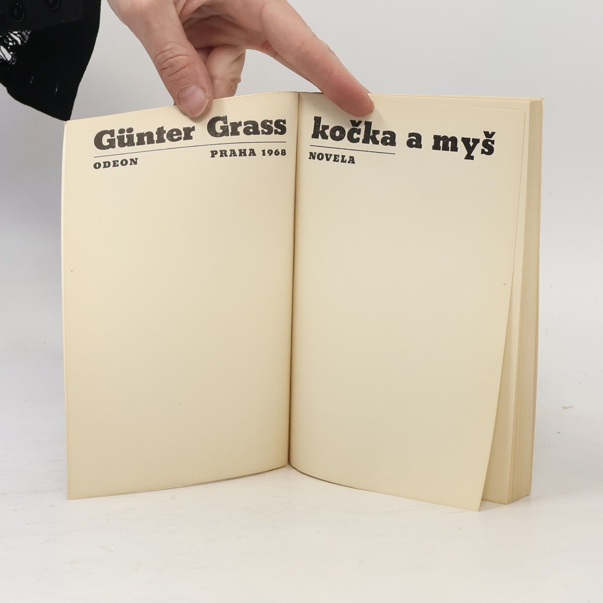Günter Grass Kočka a myš