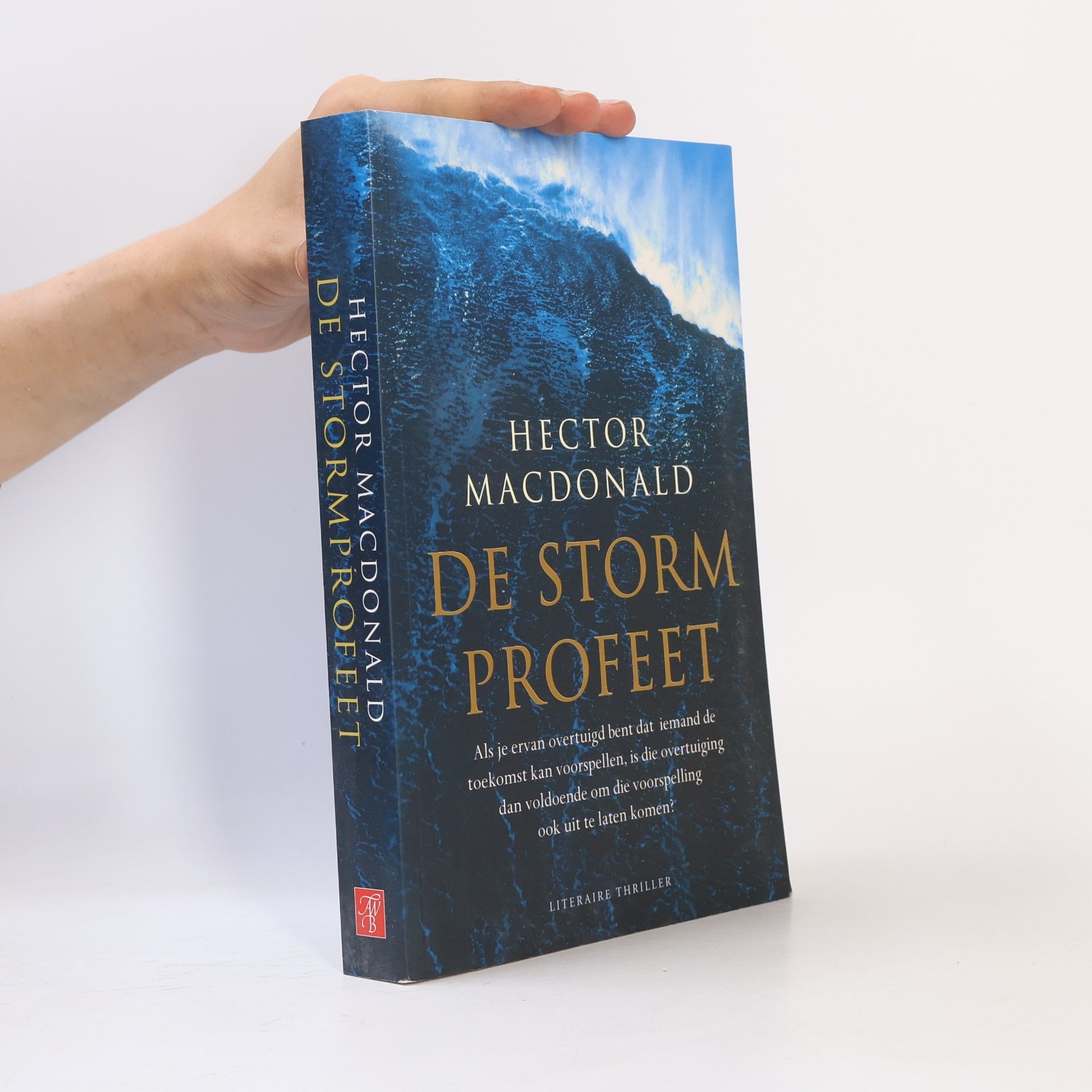 Gert-Jan Kramer De stormprofeet