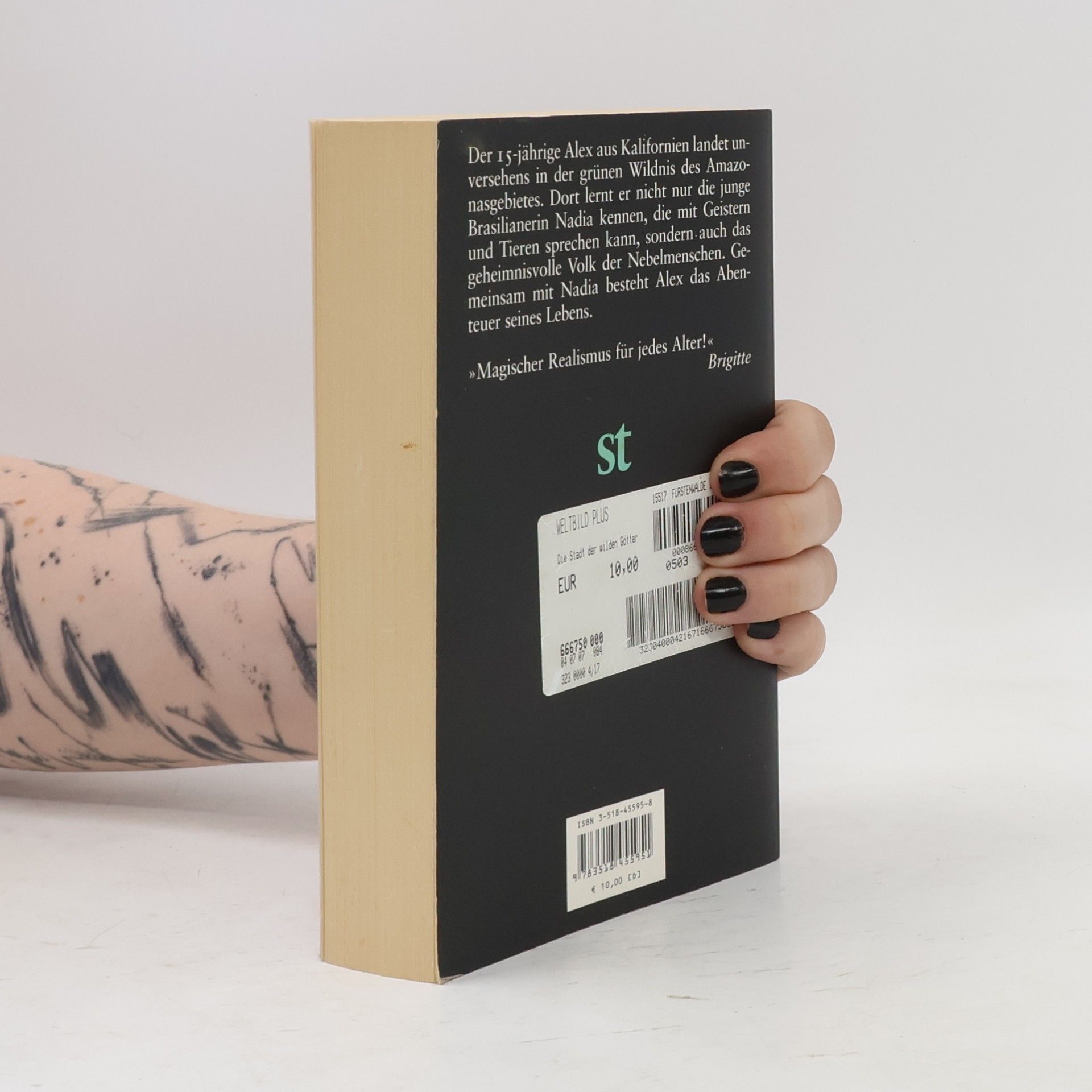 Isabel Allende Die Stadt der wilden Götter