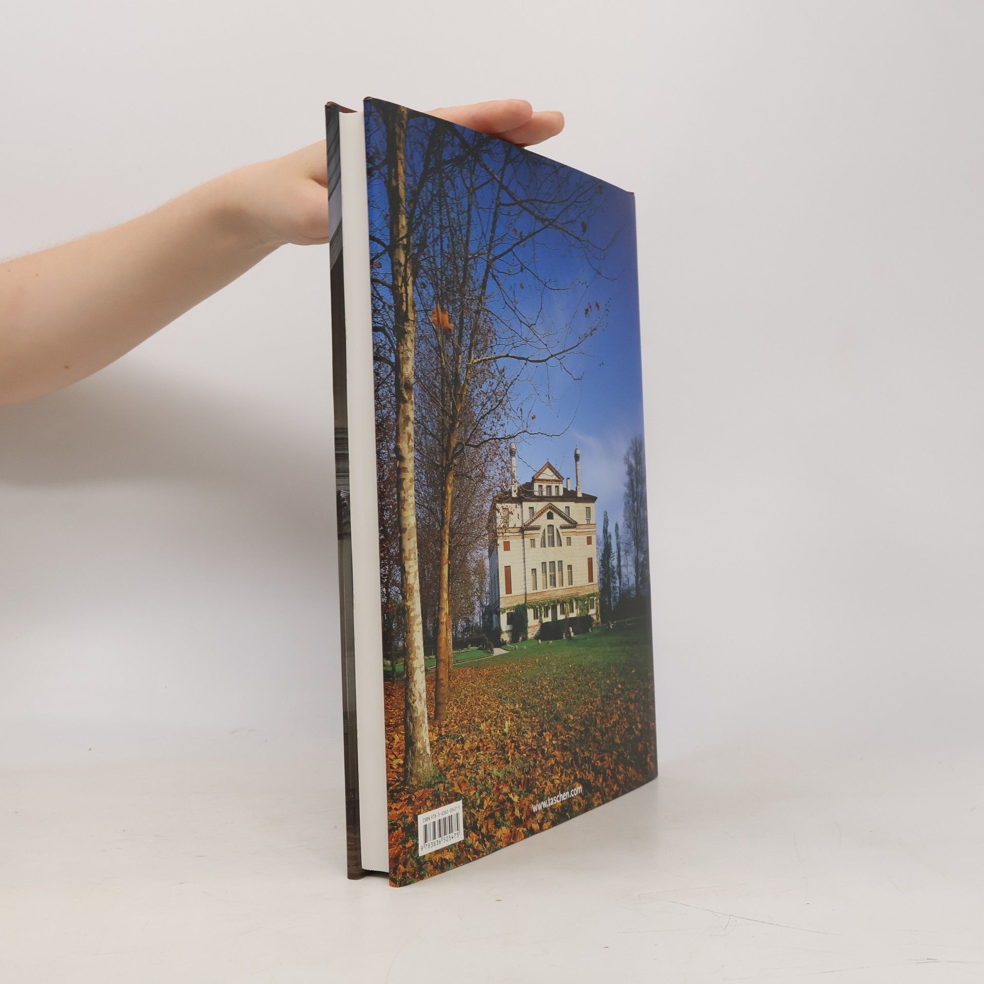 Manfred Wundram Andrea Palladio : 1508-1580 : architect between the renaissance and baroque