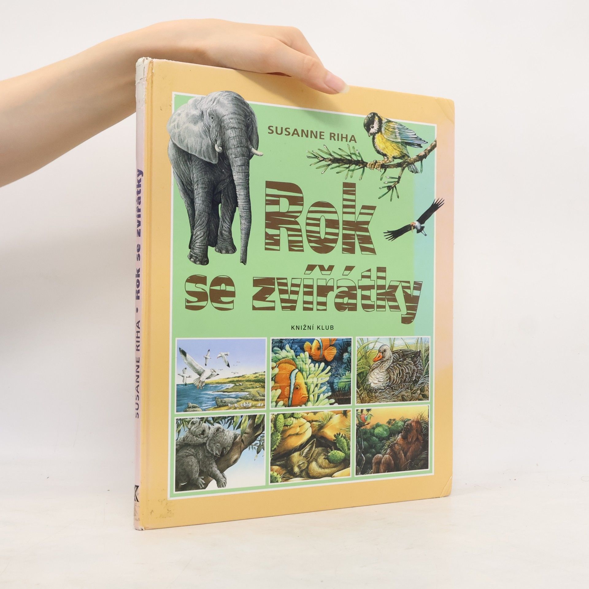 Susanne Riha Rok se zvířátky