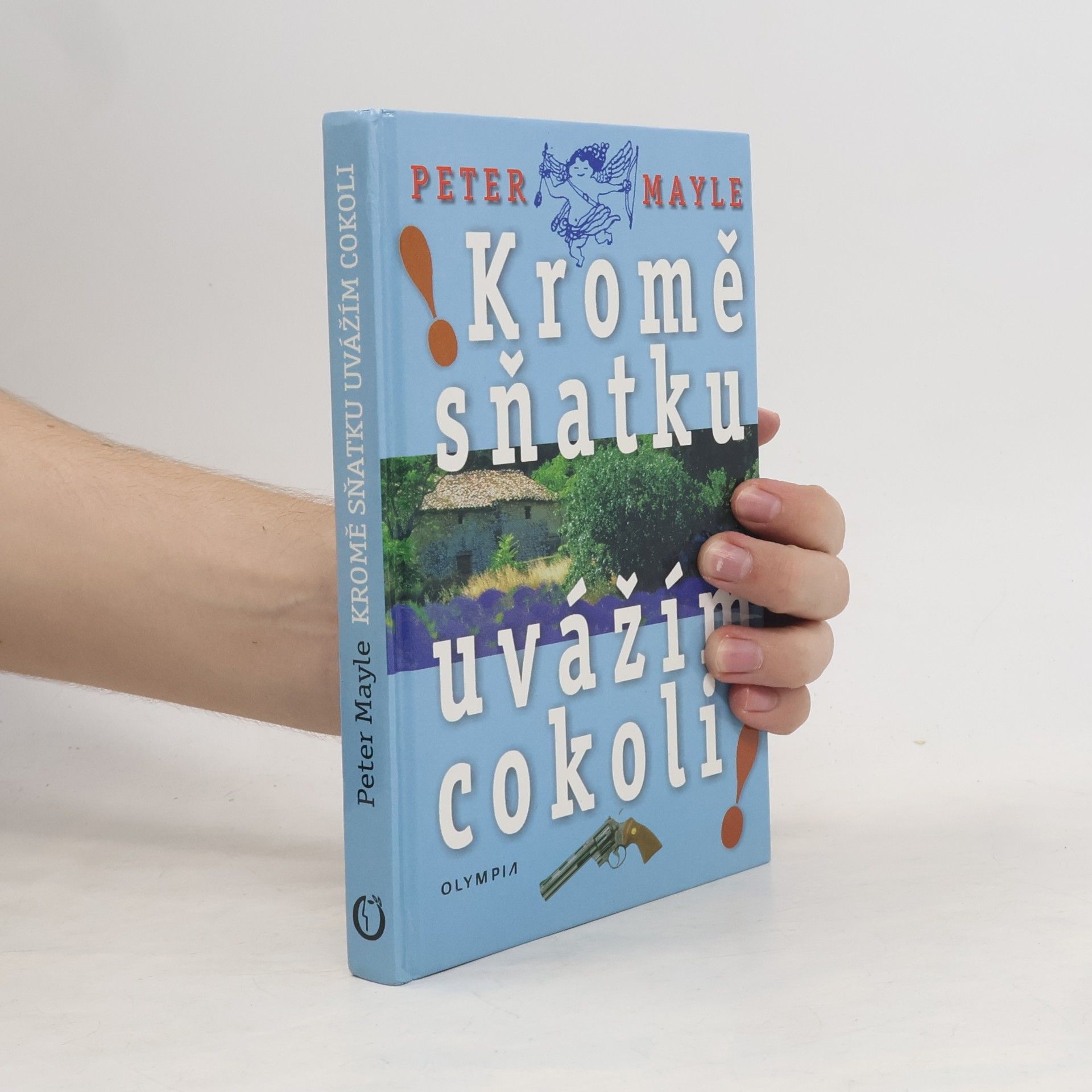 Peter Mayle Kromě sňatku uvážím cokoli!