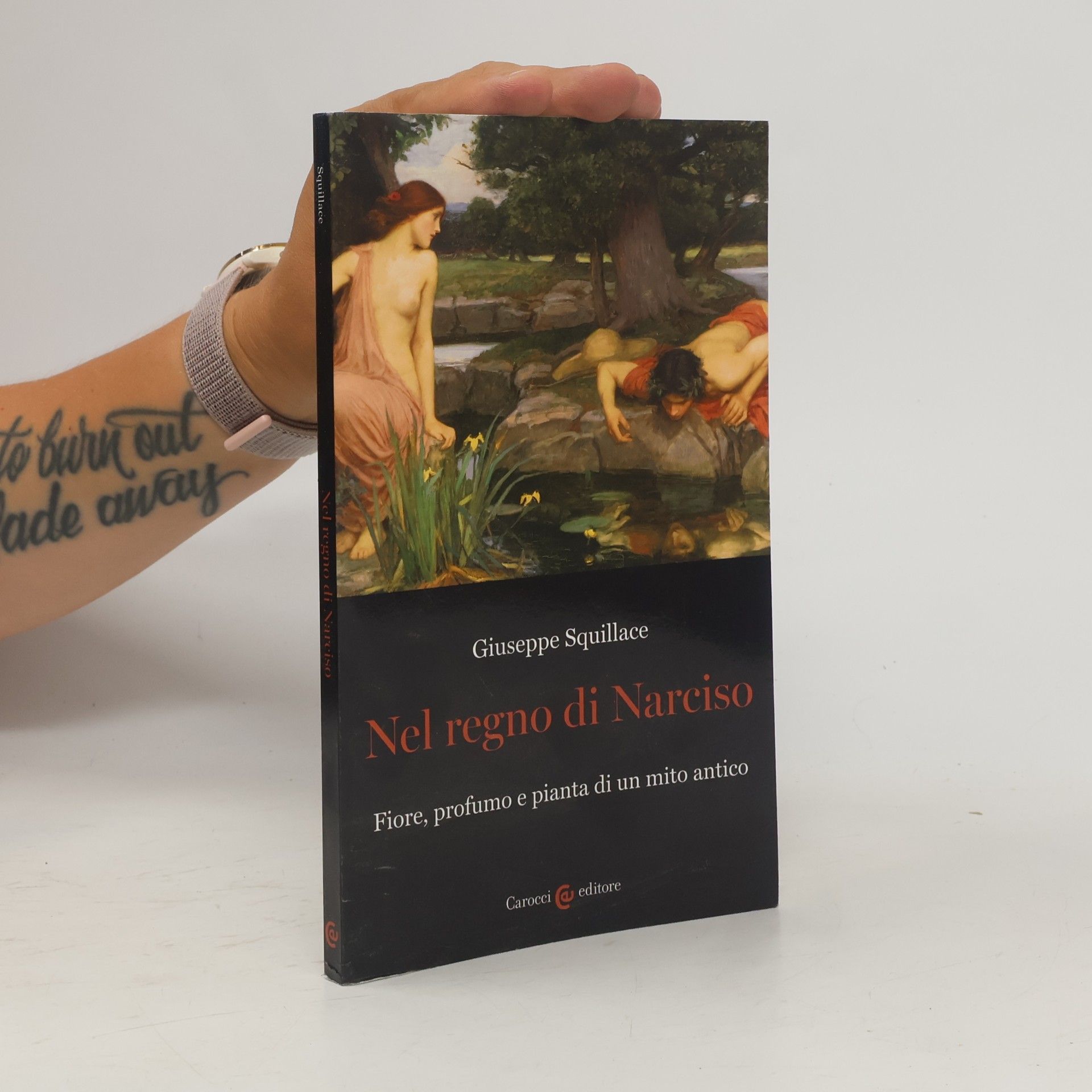 Giuseppe Squillace Nel regno di Narciso