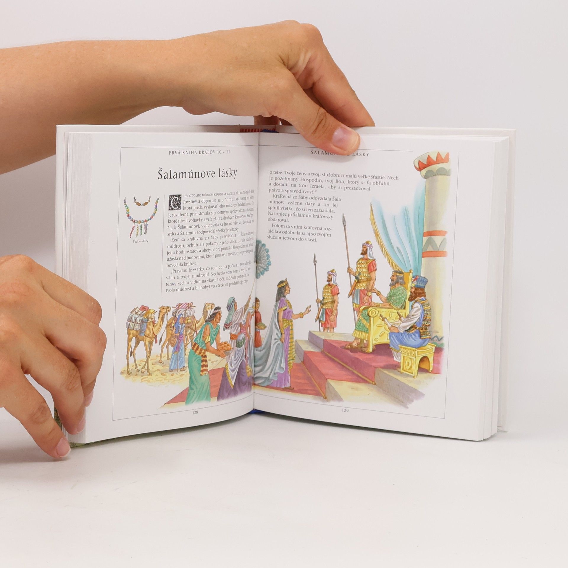 Autorenkollektiv Ilustrovaná Biblia pre mládež