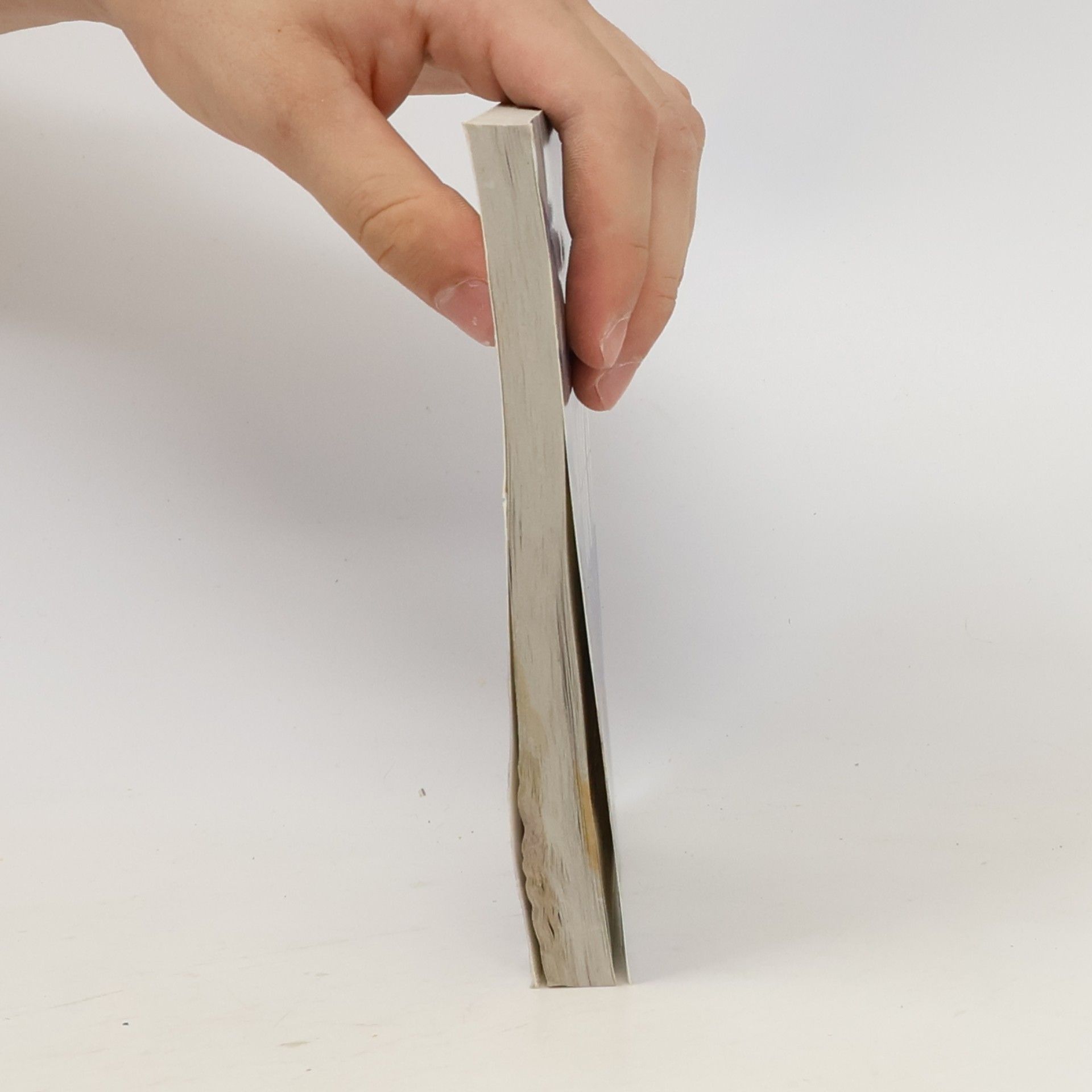 Estelle Fallet The story of a watch company