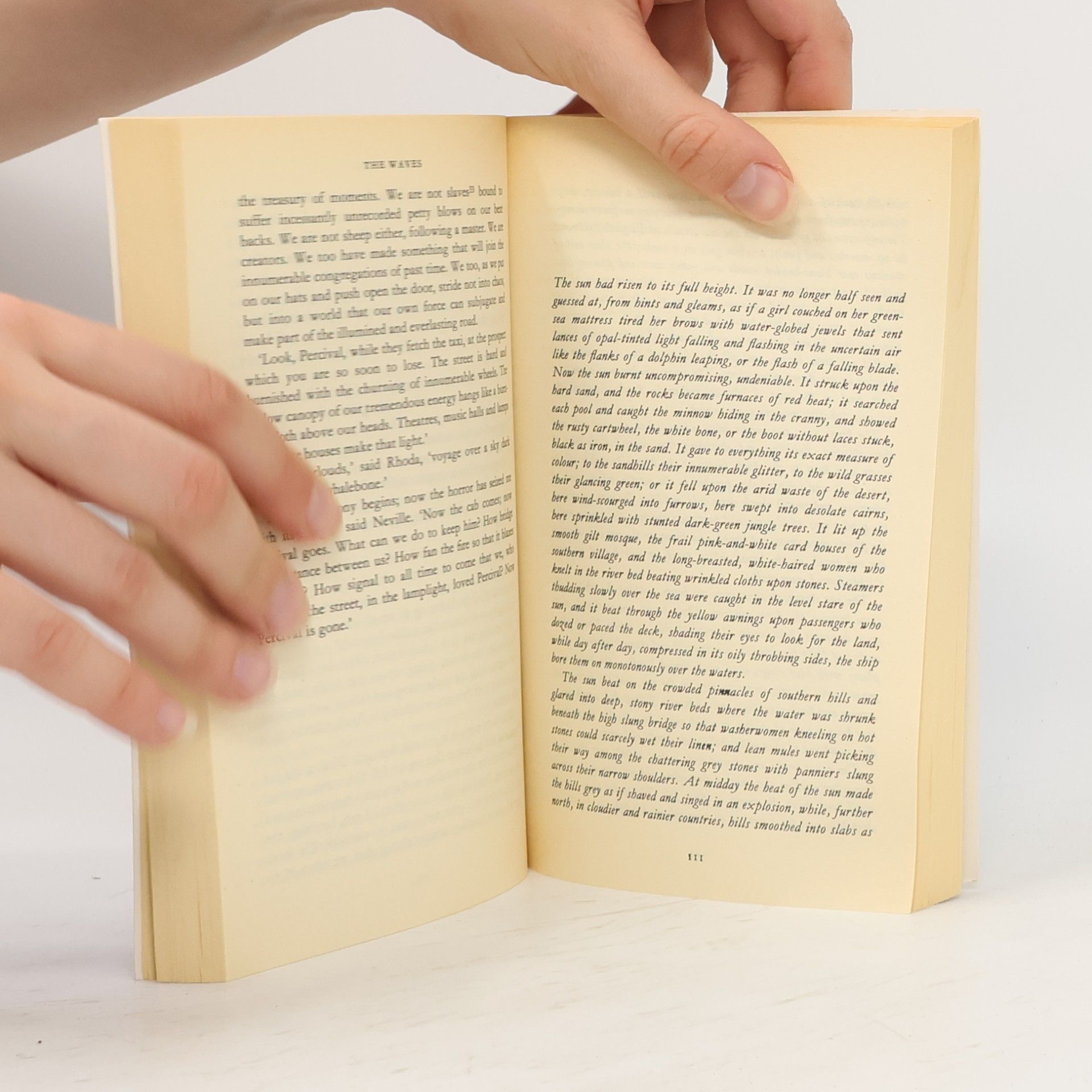 Virginia Woolf The Waves