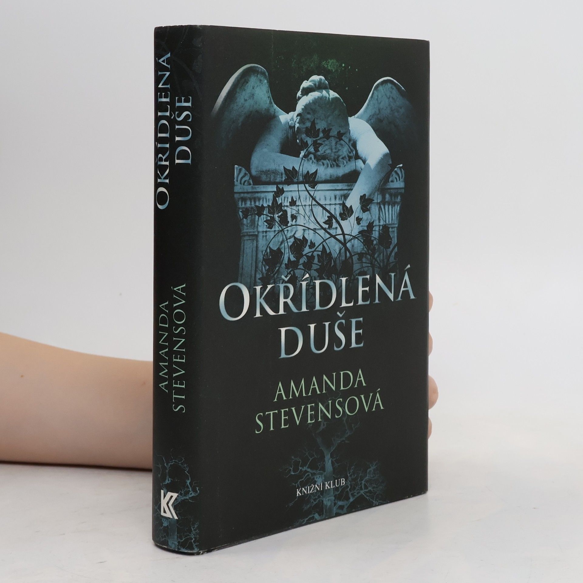 Amanda Stevens Okřídlená duše