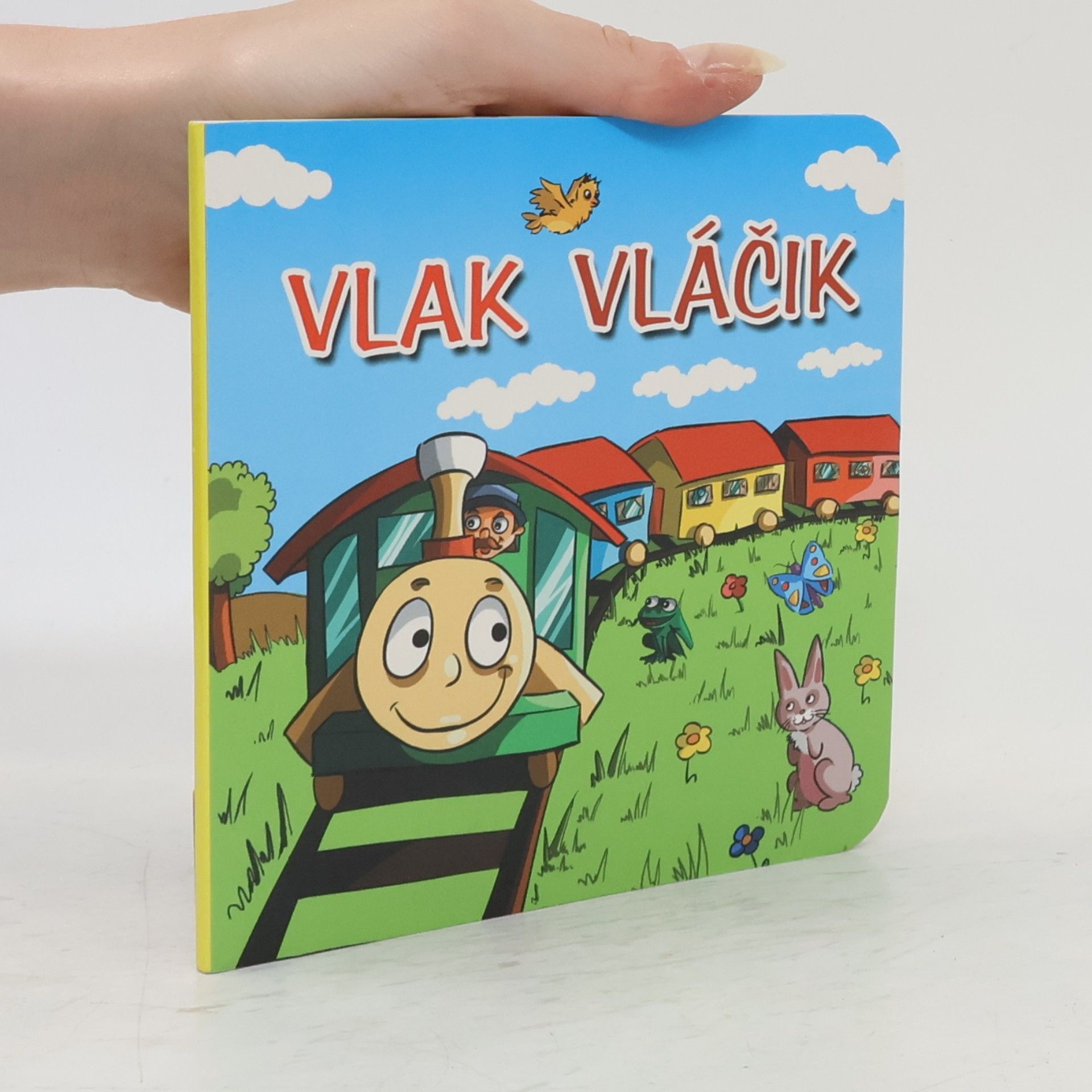 Daria Widermańska Vlak Vláčik