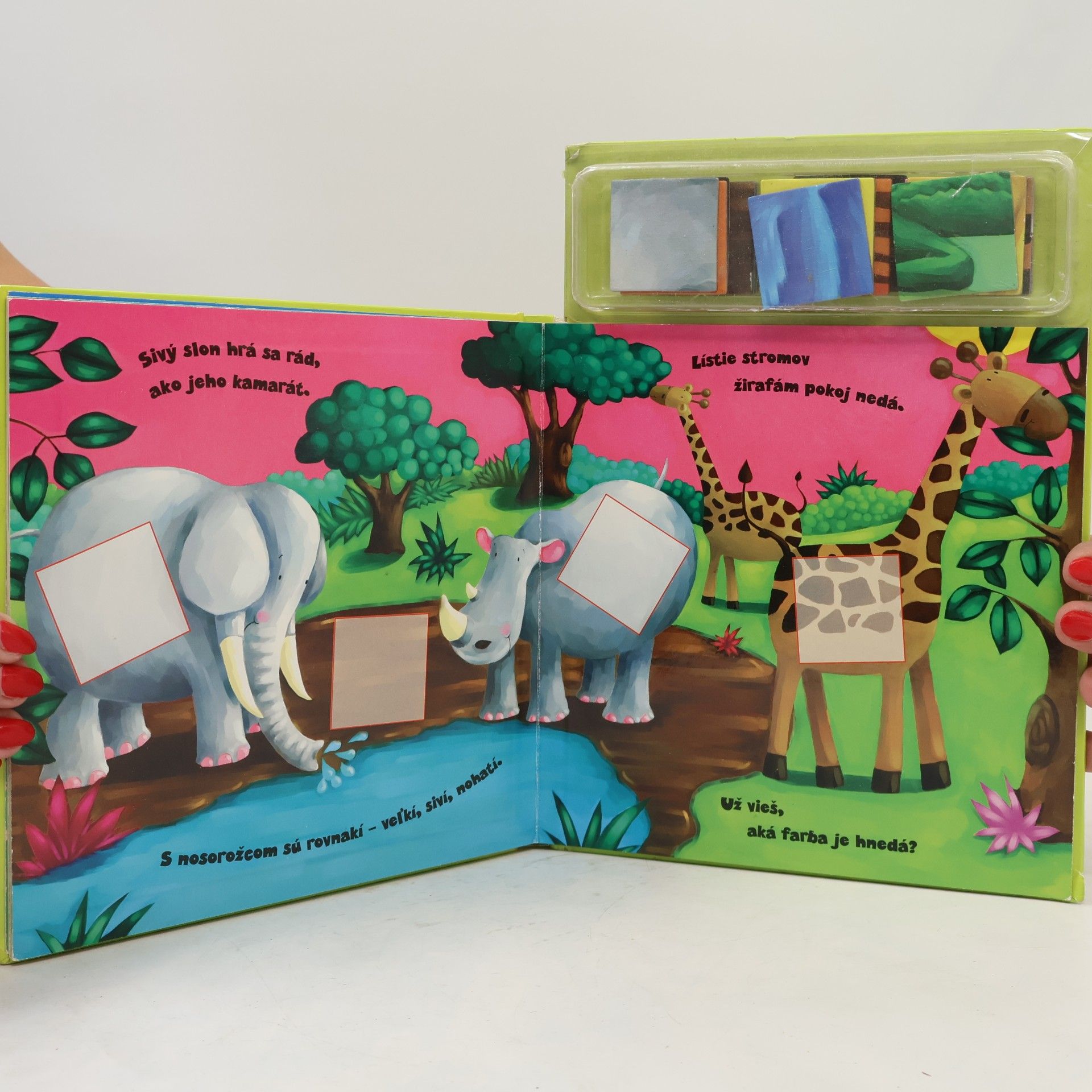 Erin Ranson Magnetic Books: Magnetic Colour Safari