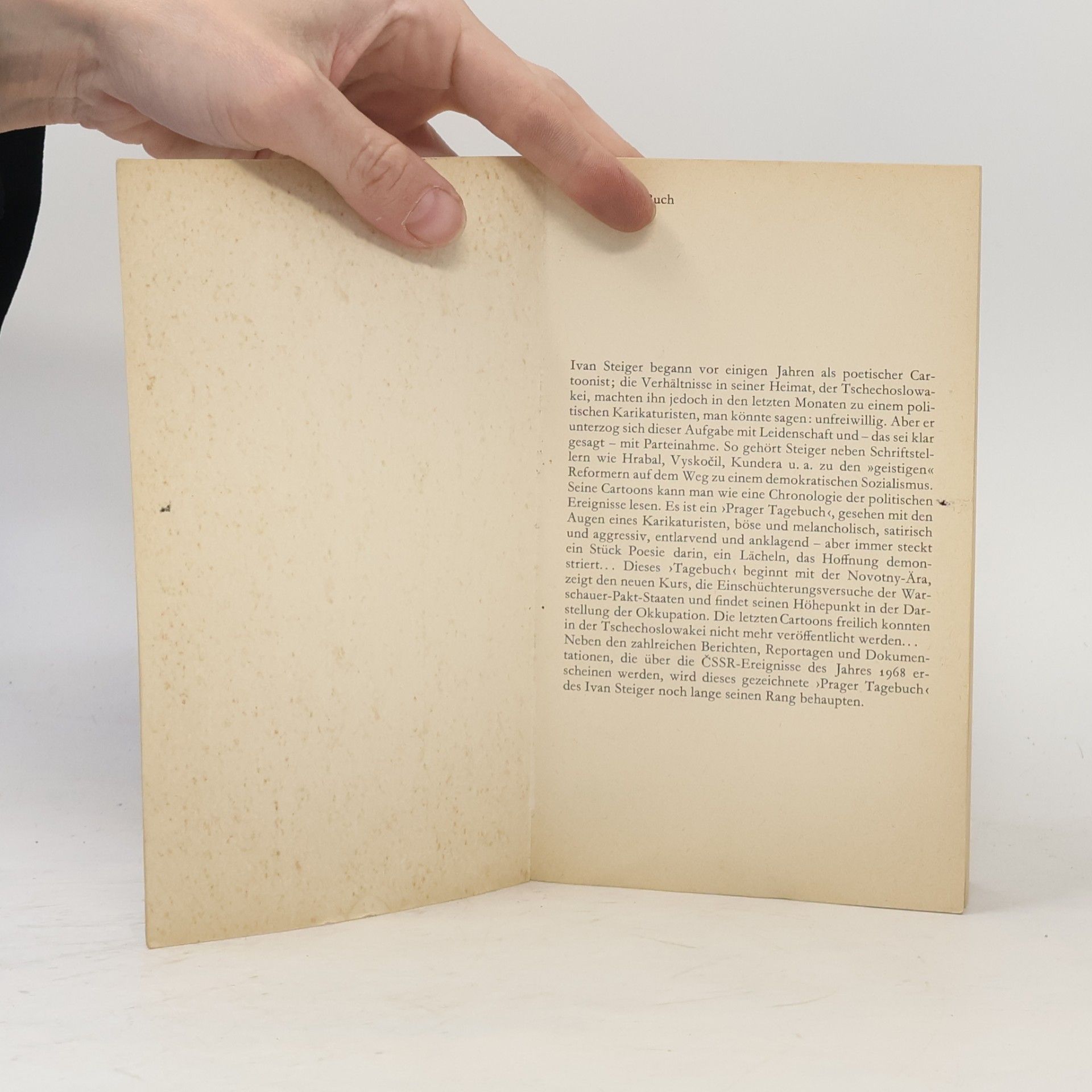 Ivan Steiger Prager Tagebuch