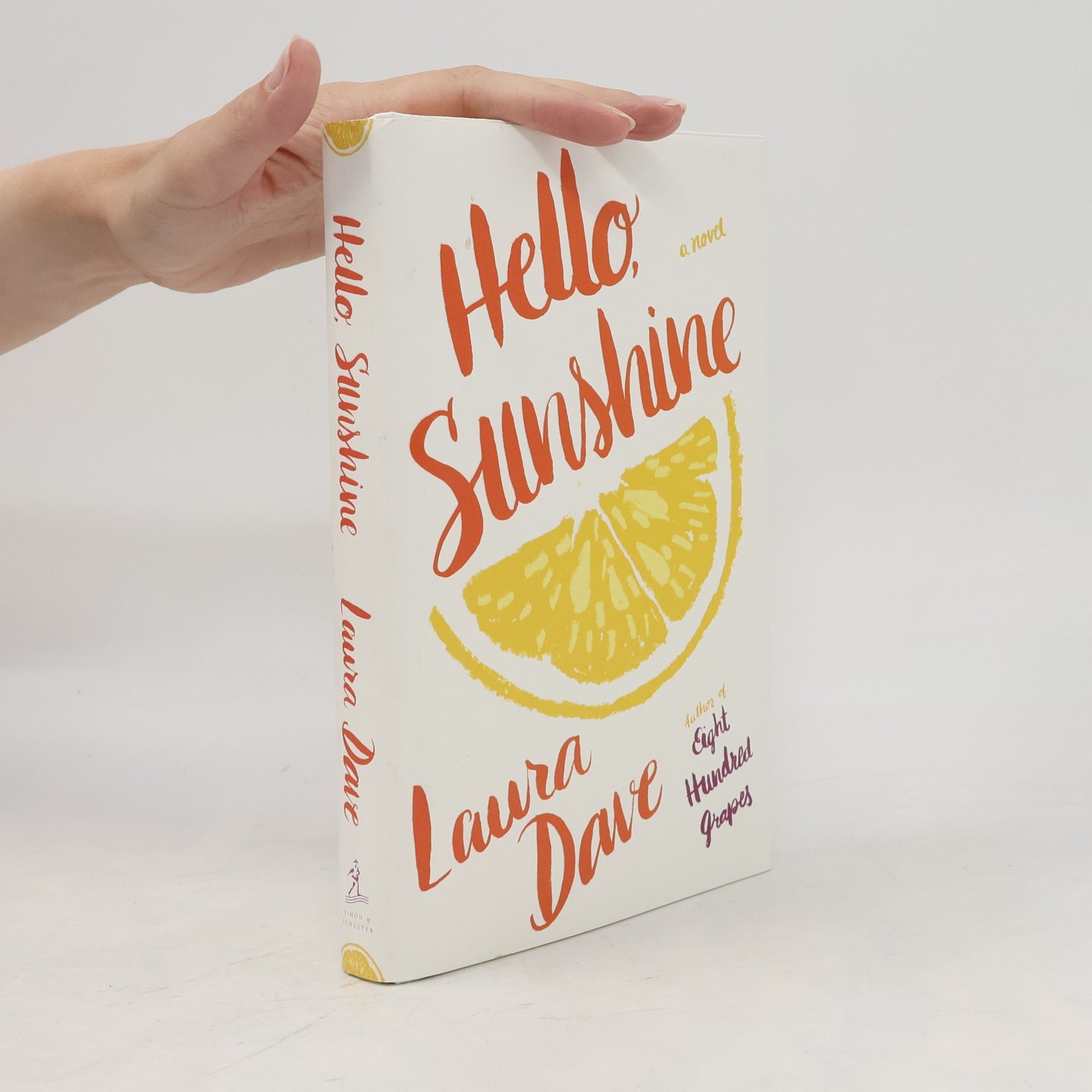 Laura Dave Hello, Sunshine