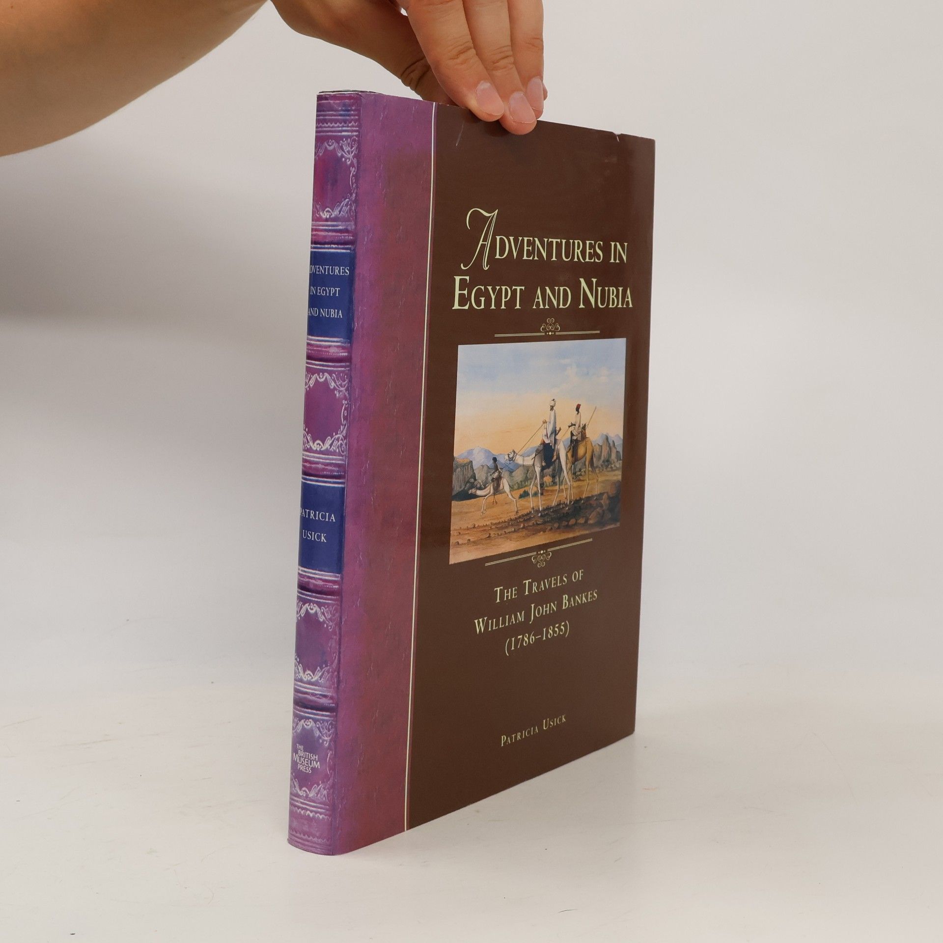 Patricia Usick Adventures in Egypt and Nubia