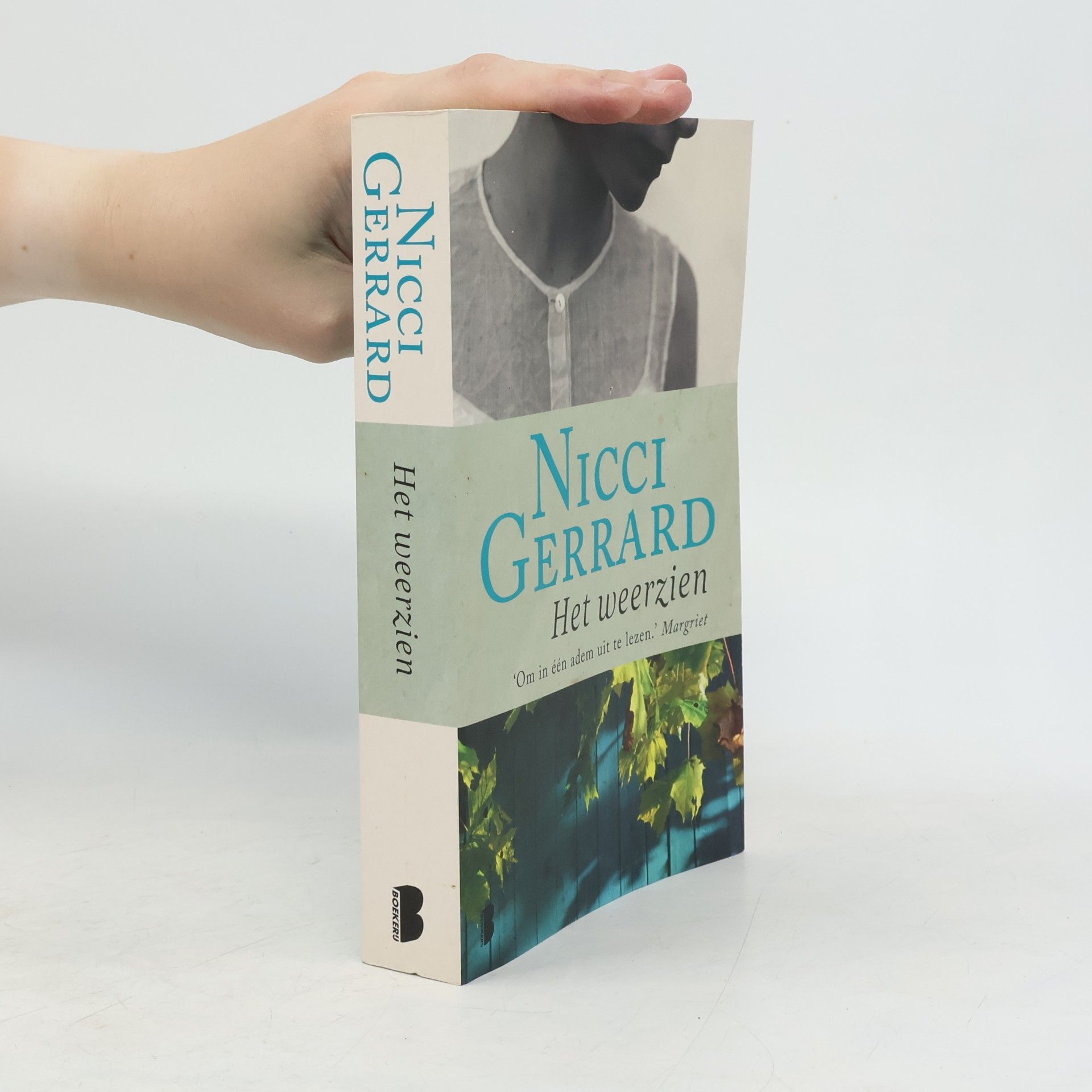 Nicci Gerrard Het weerzien